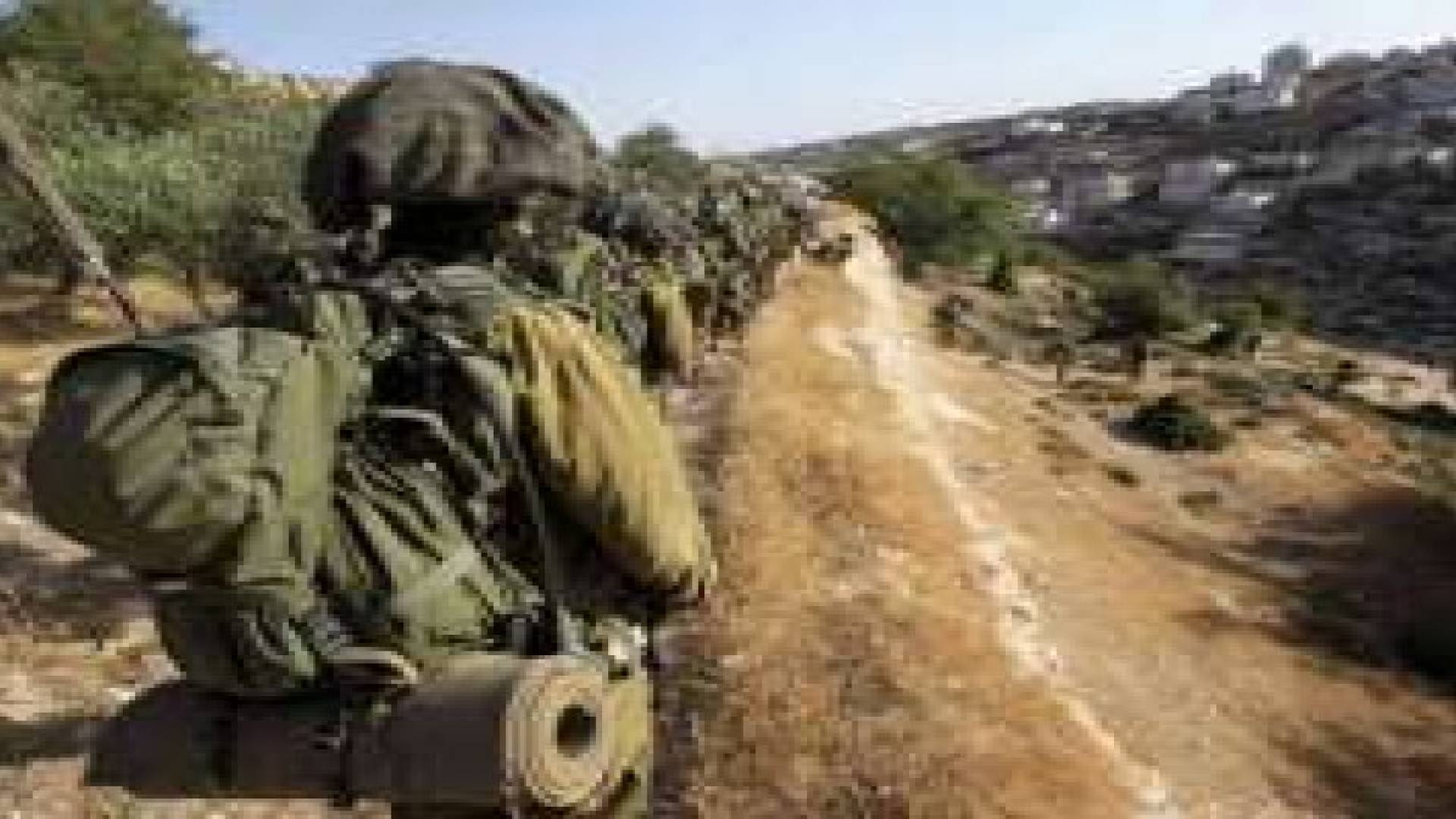 جيش الاحتلال يحرق مراعي الغور الفلسطيني الشمالي