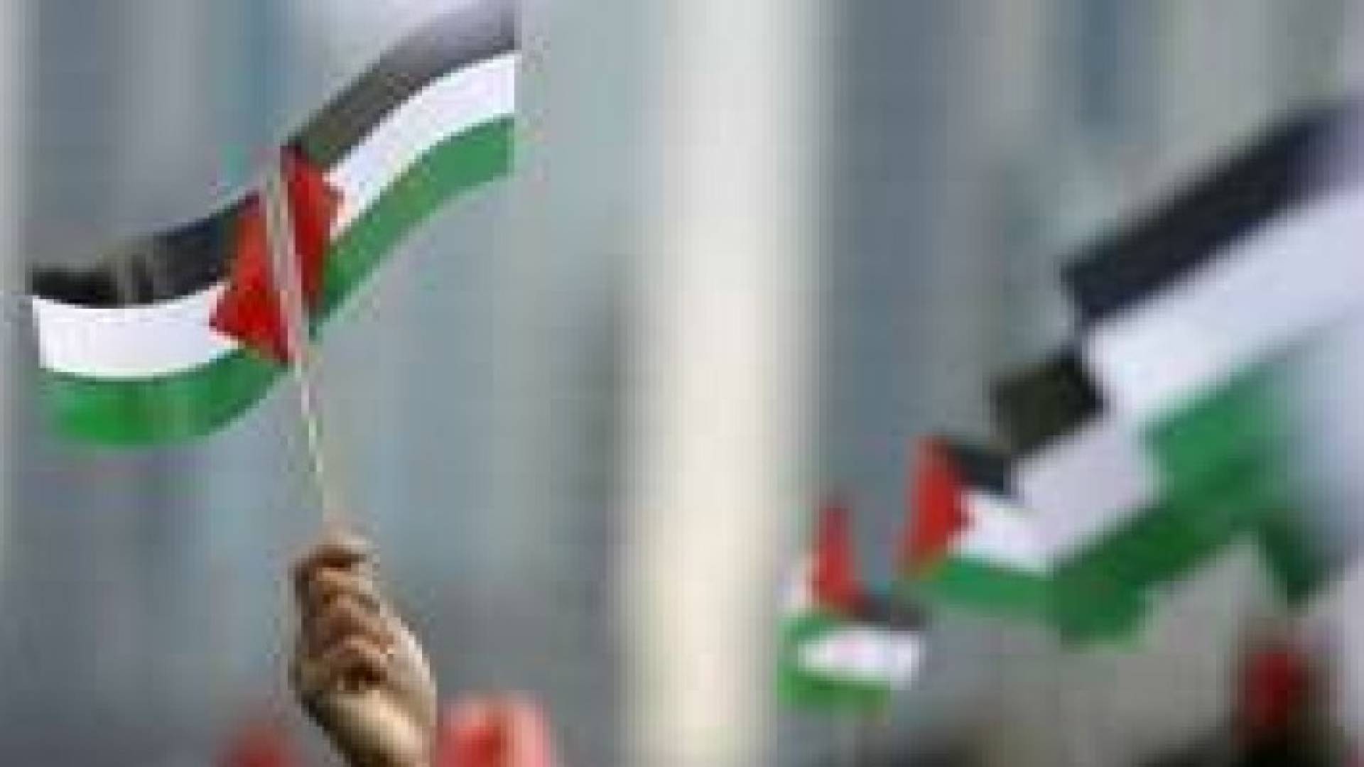 السويد: وضع العلم الفلسطيني ضمن "الرموز الإرهابية" غير مقصود
