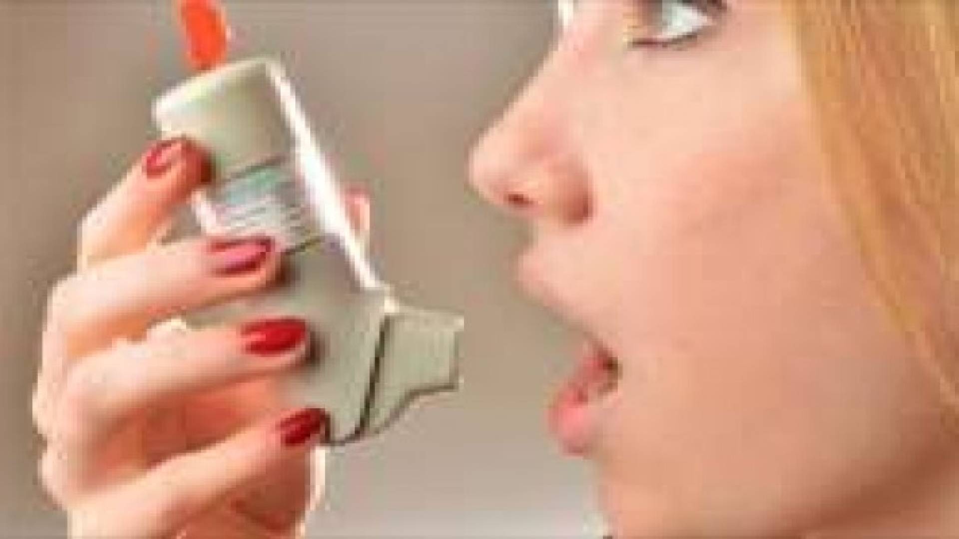 السجاد يزيد خطر الغبار الدقيق والحشرات