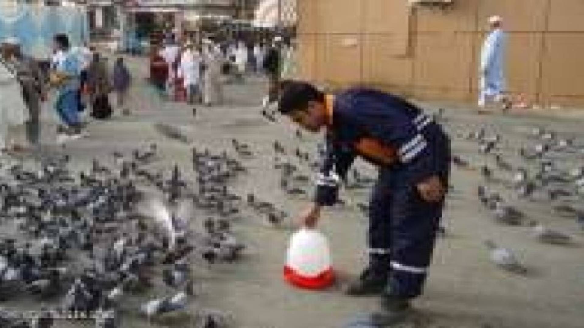 5 آلاف وعاء لسقي الطيور بمكة