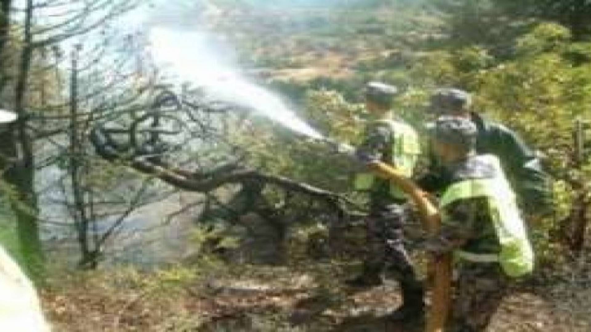 حريق في اربد يأتي على 35 دونما