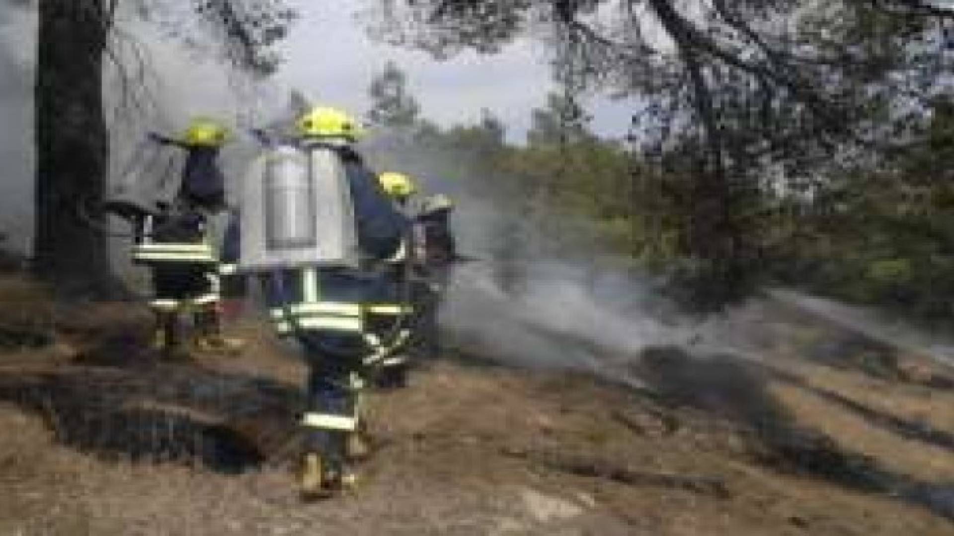 الدفاع المدني يؤكد على أهمية إتباع سبل الوقاية للحد من حرائق الأشجار والإعشاب الجافة