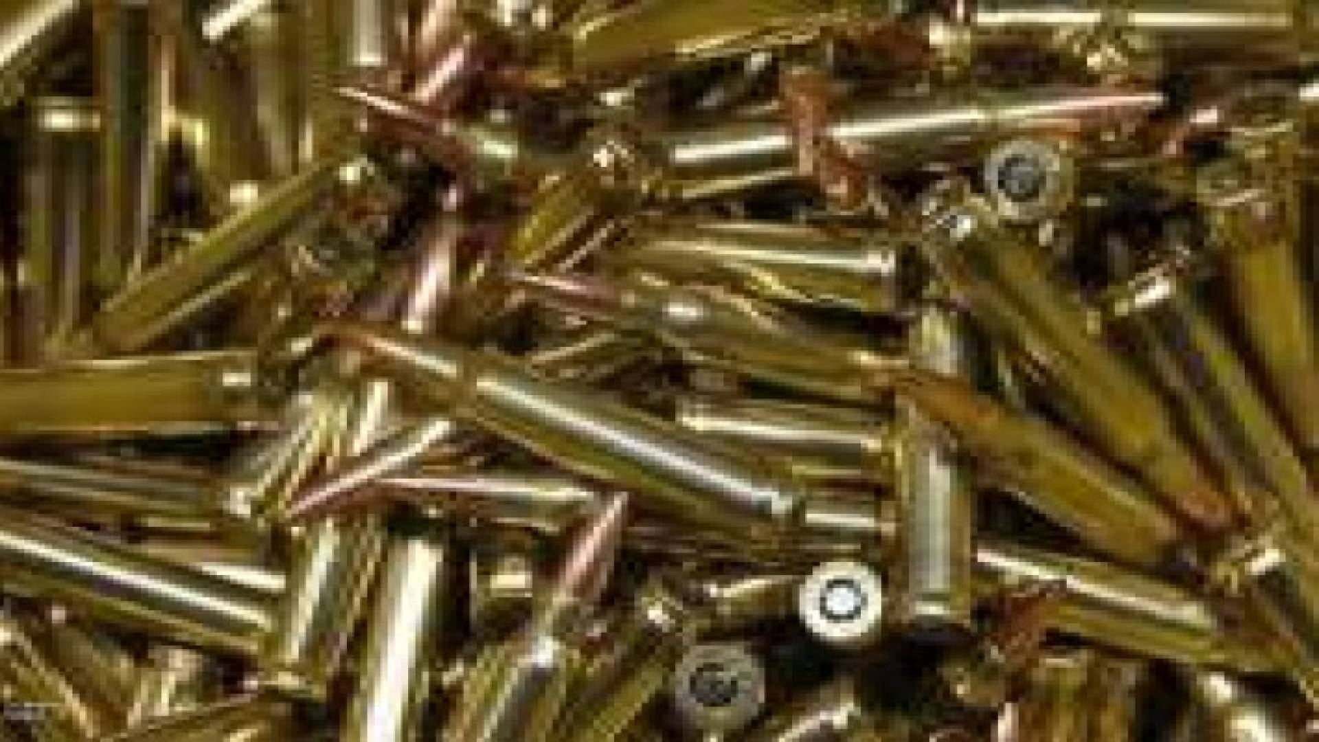 جراحة ناجحة لكلب ابتلع 23 رصاصة