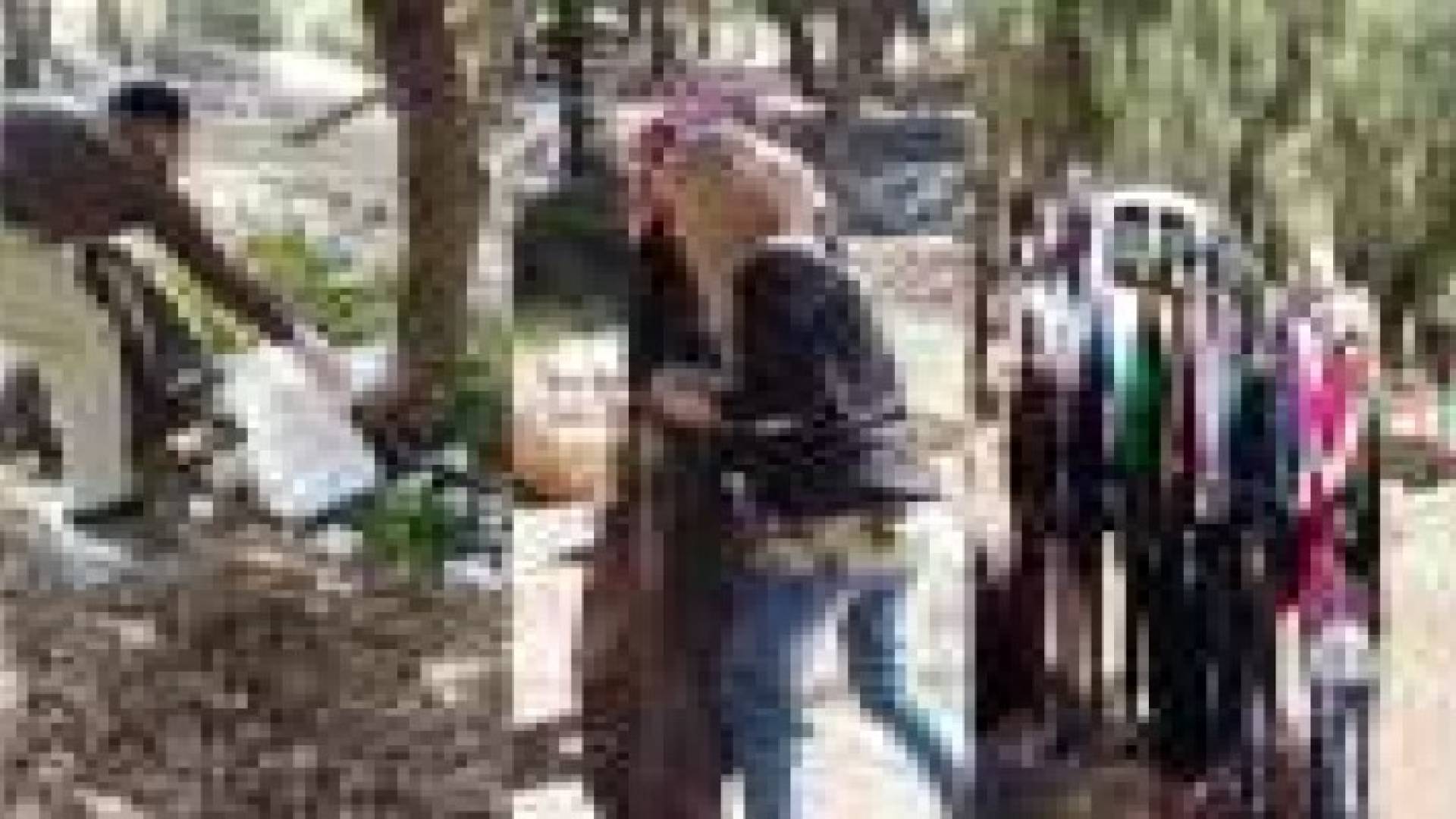 حملات بيئية في بدر الجديدة للحفاظ على بيئتها