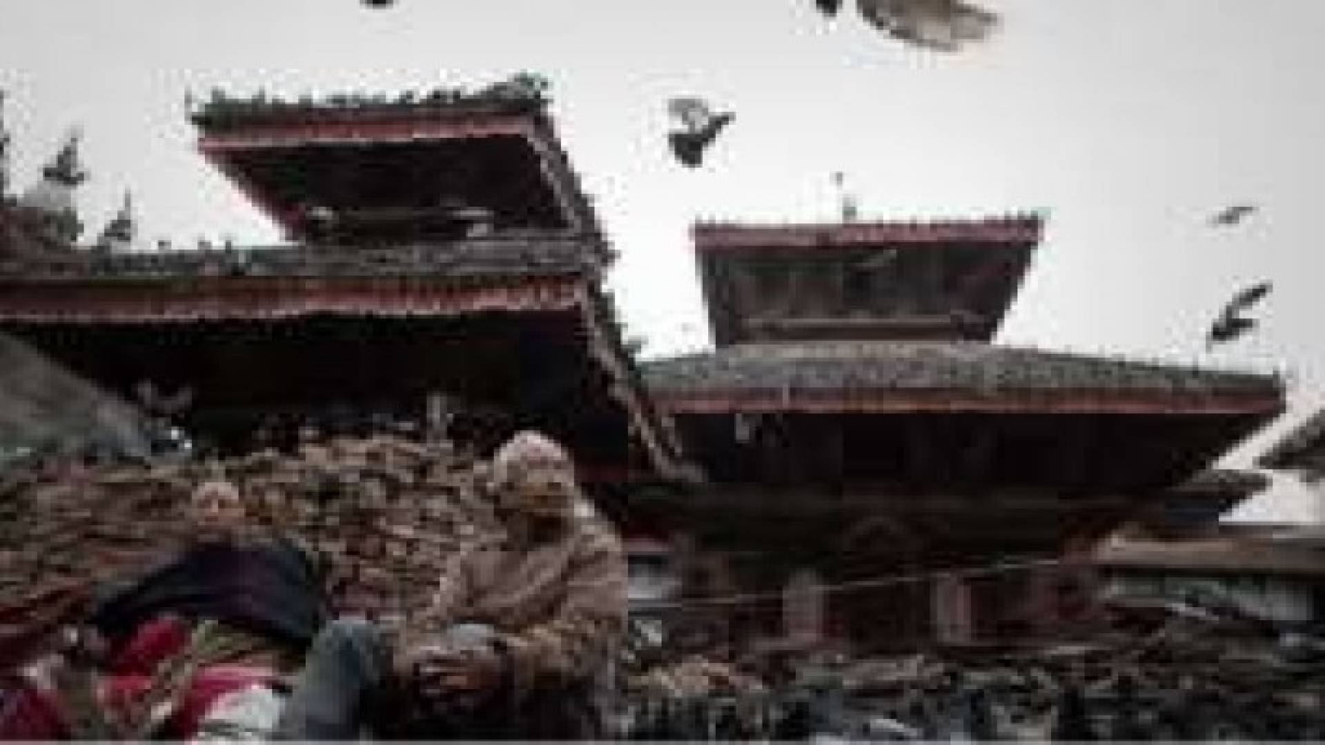 8019 قتيلا و 17866 جريحا و 366 مفقودا ضحايا زلزال نيبال حتى الآن