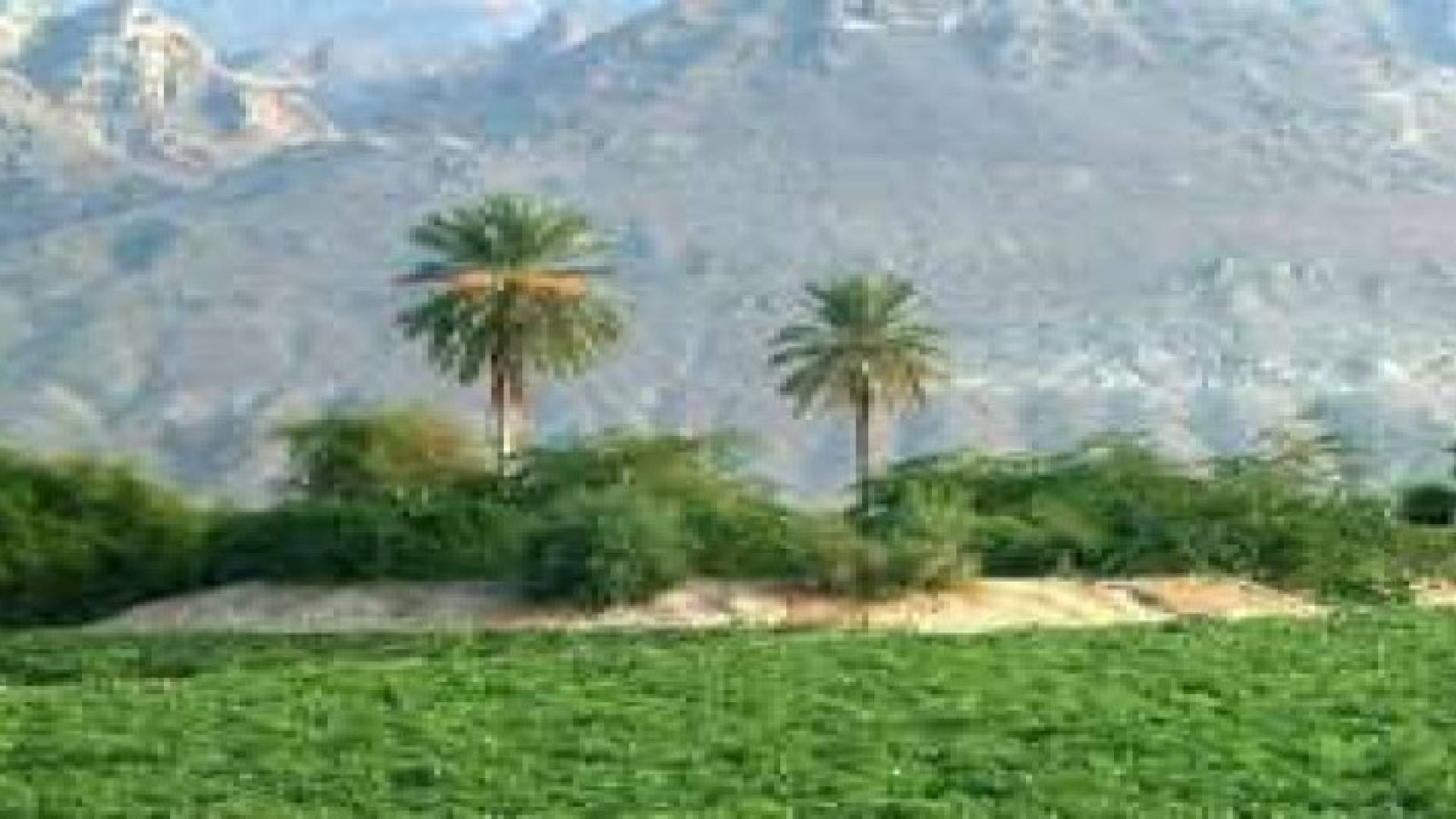 حملة شاملة لمكافحة الذباب المنزلي والحشرات في لواء الشونة الجنوبية