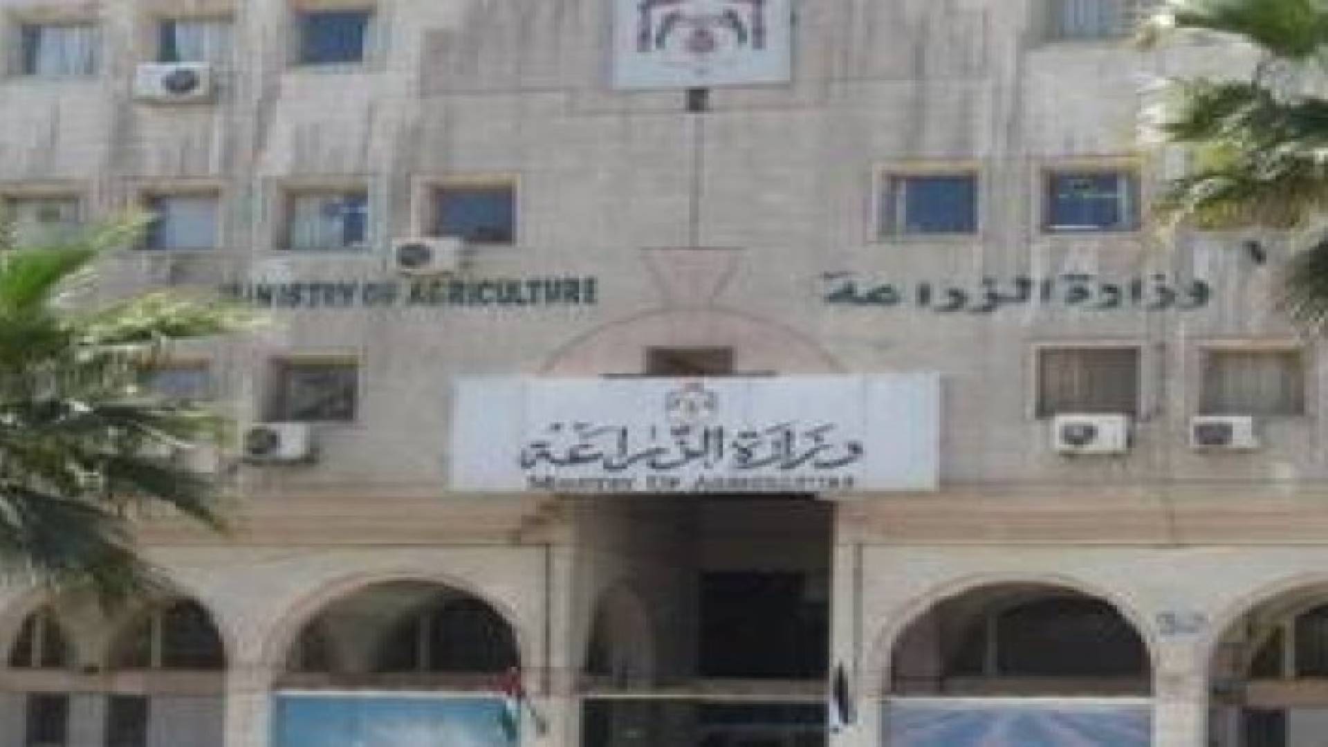 الزعبي: القطاع الزراعي مغيب عن أذهان المسؤولين ووسائل الإعلام