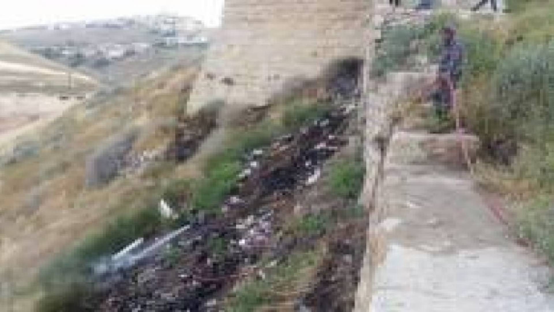 حريق اعشاب جافة اسفل قلعة الكرك.. صور