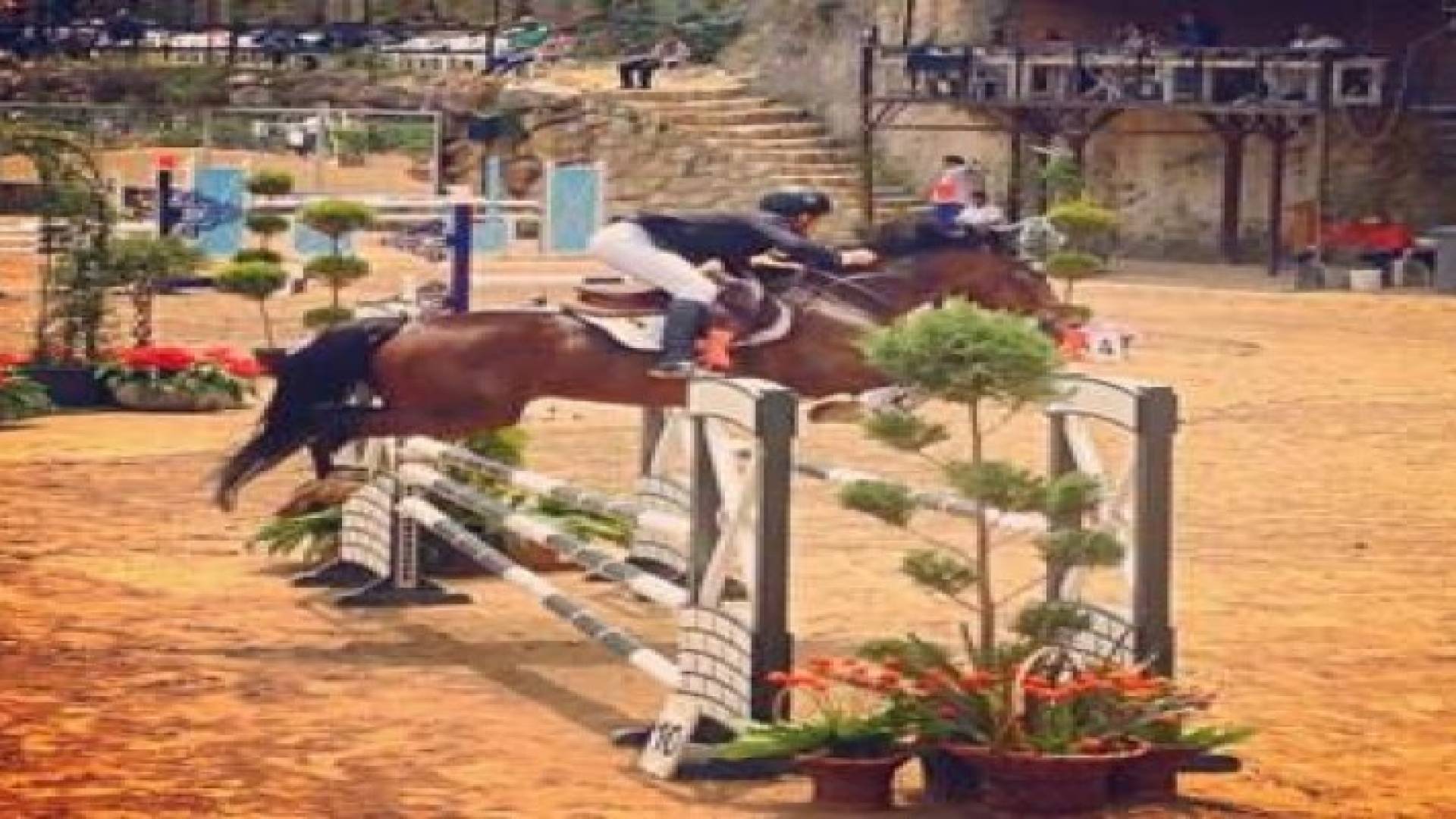 الأمير محمد بن طلال يفوز ببطولة قفز الحواجز المقامة في لبنان