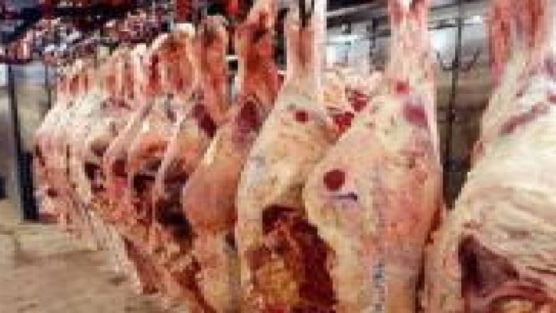 اغلاق ملحمة تبيع لحوما فاسدة في مادبا