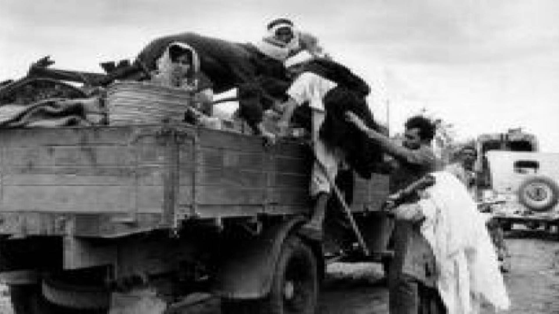 النكبة الفلسطينية .. تغريدات وعبارات تحلم بحق العودة
