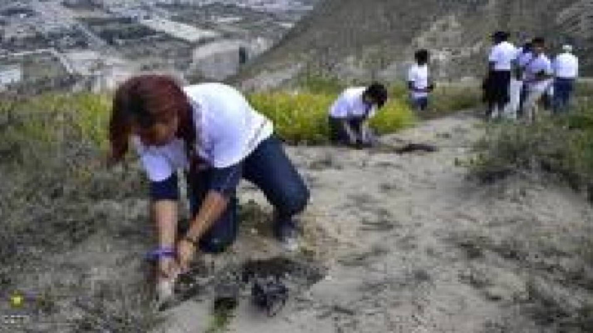 الإكوادور تدخل غينيس بـ600 ألف شجرة في يوم