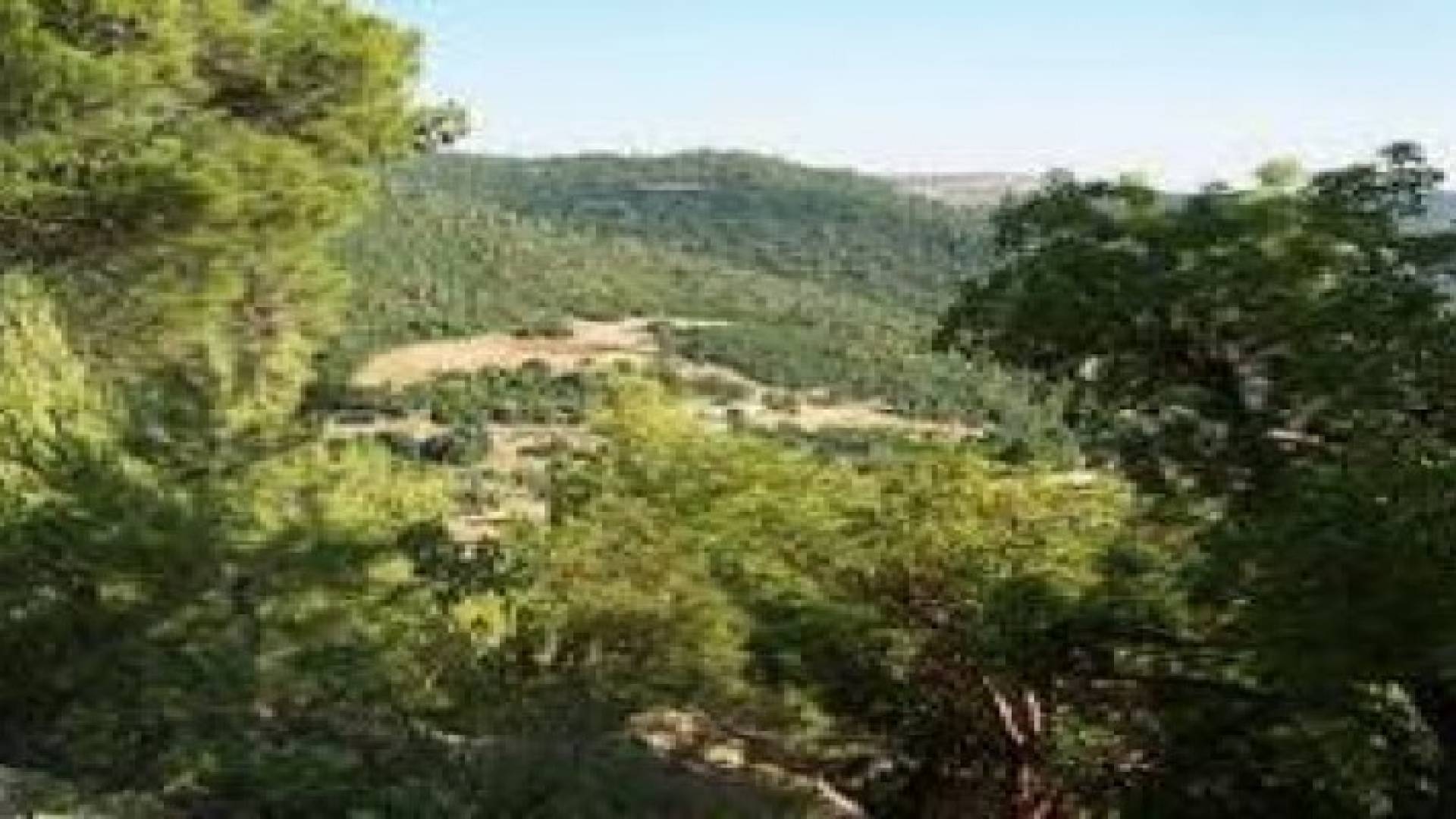 حريق يأتي على 60 دونما في منطقة "حرشة همتا" في محافظة عجلون