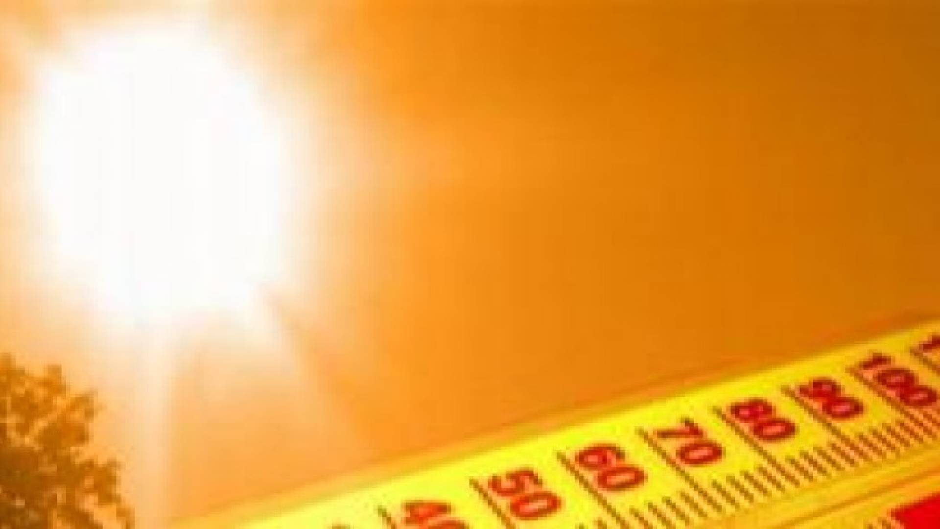 العظمى 45 مئوية: أجواء شديدة الحرارة في الأغوار والعقبة الثلاثاء