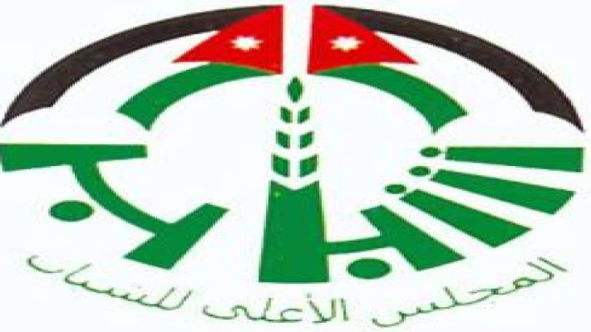 المجالي : البرامج الشبابية للمجلس الاعلى ستأخذ مداها مع احتفالات "الإستقلال"