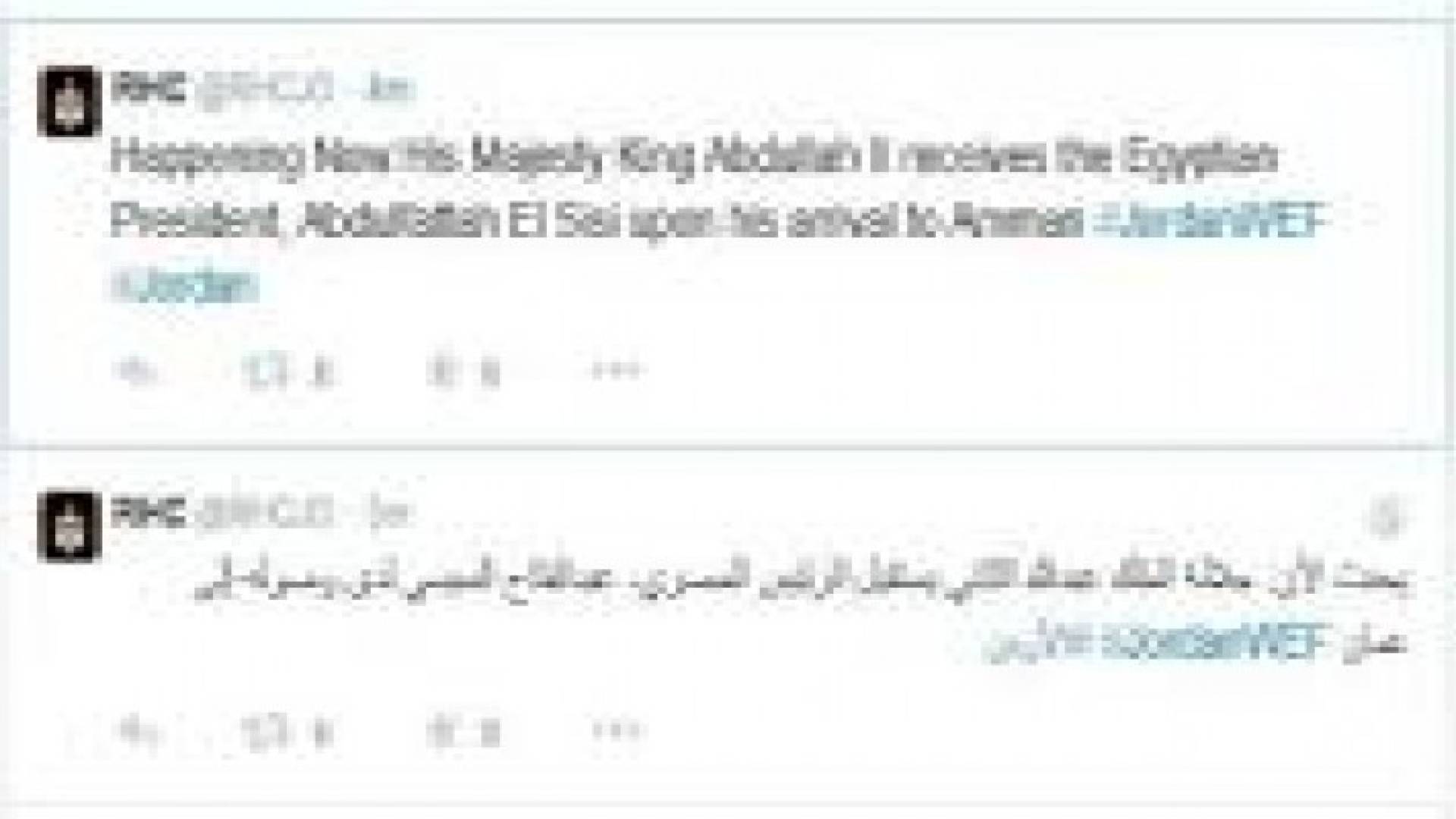 الملك يلتقي السيسي