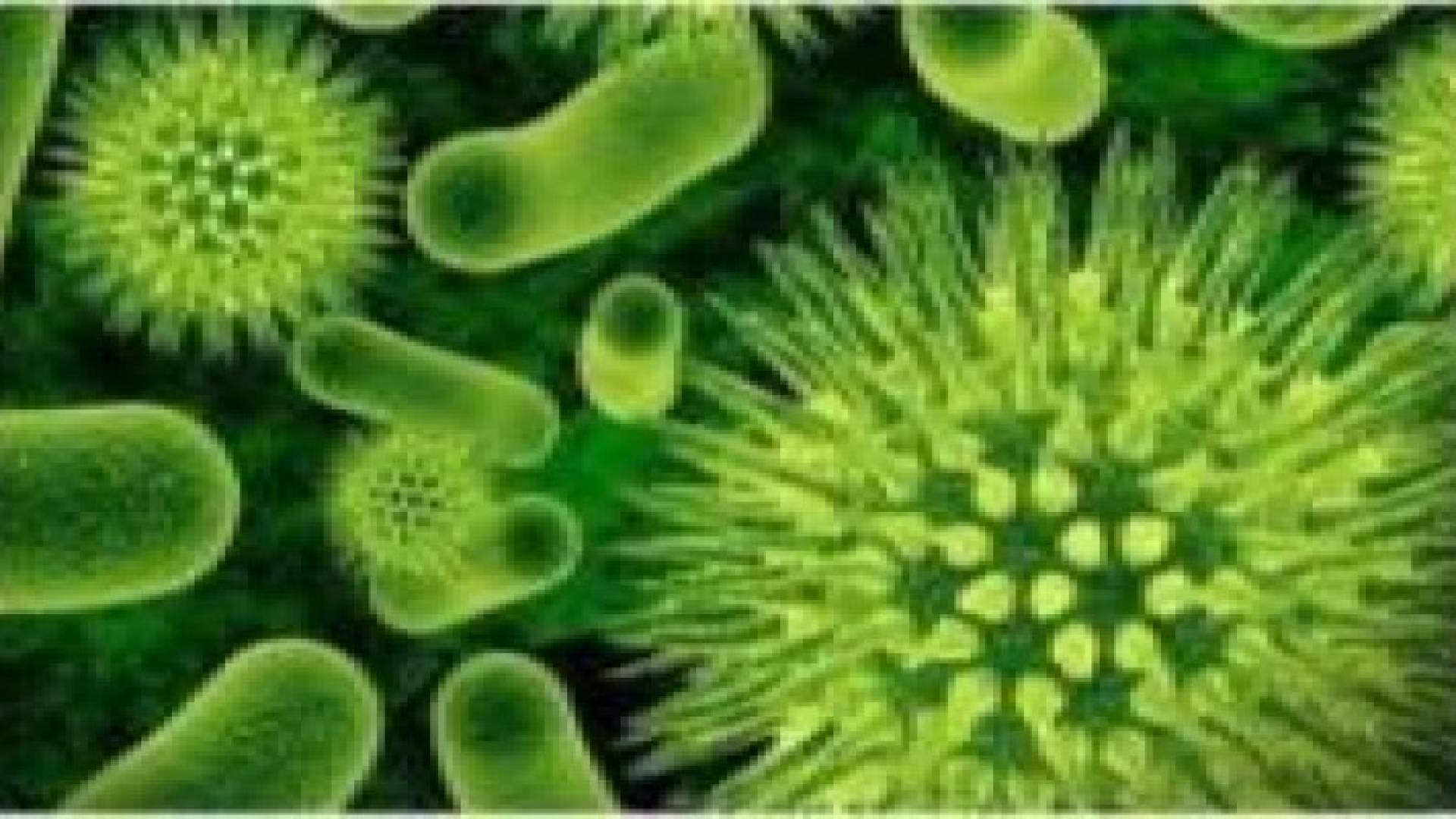 هل يخبئ القطب الجنوبي علاجا لبكتيريا "خارقة"؟