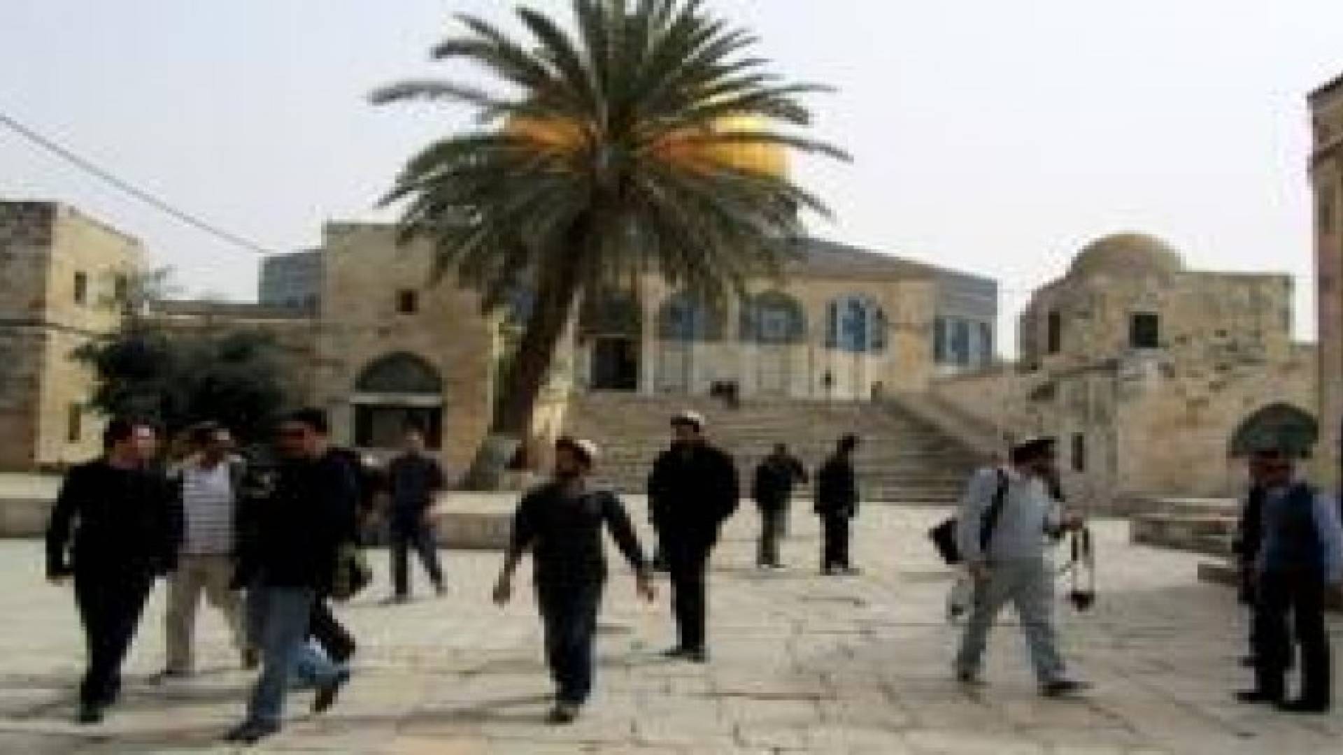 عشرات المستوطنين يقتحمون الأقصى واعتقال مقدسية