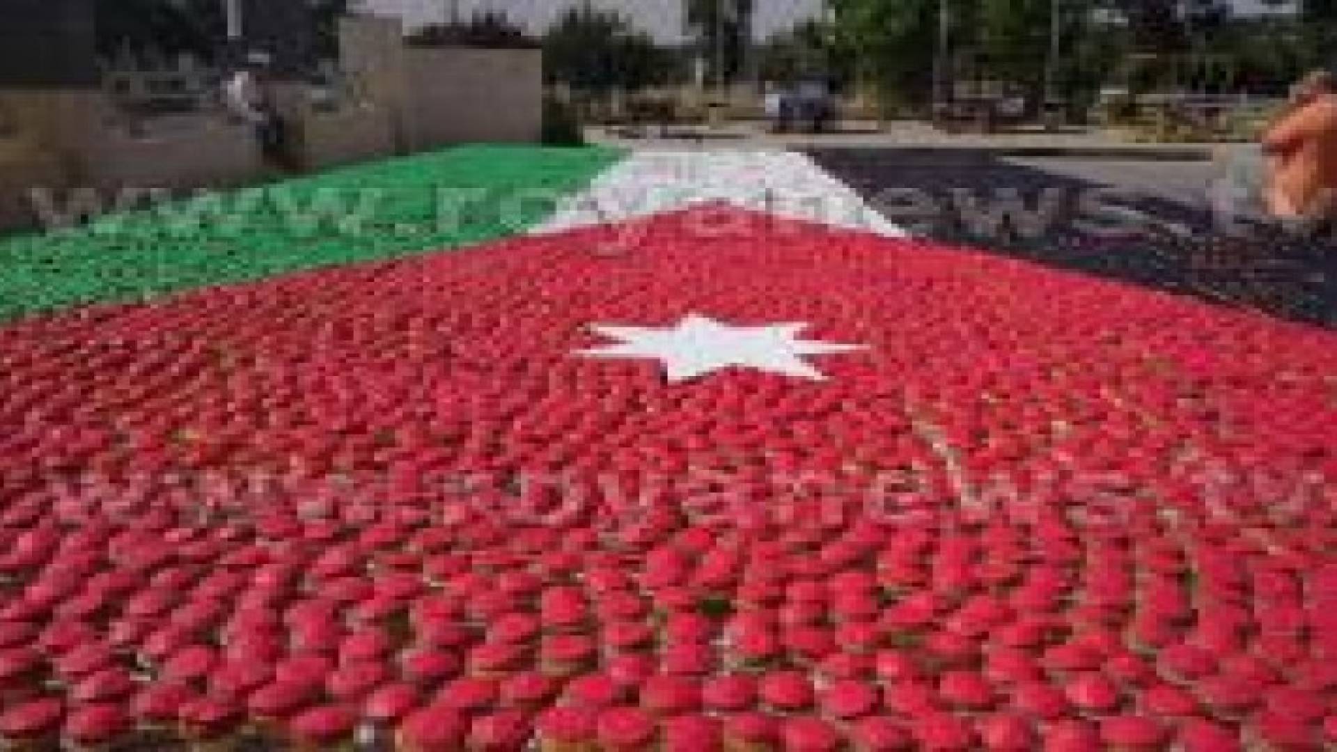 بالصور:تشكيل أكبر علم أردني من قطع الحلوى بمناسبة عيد الإستقلال