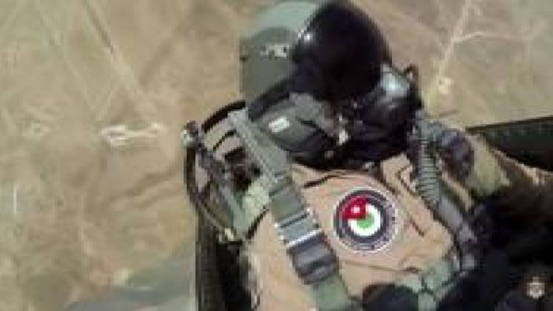 الديوان الملكي يشارك الأسرة الأردنية بمناسبة استقلال المملكة ..فيديو
