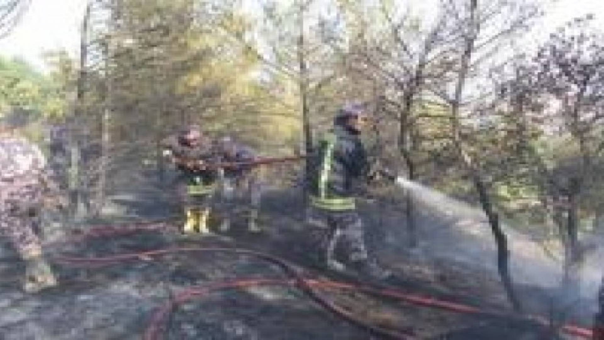 إخماد حريق محاصيل زراعية في محافظة مادبا