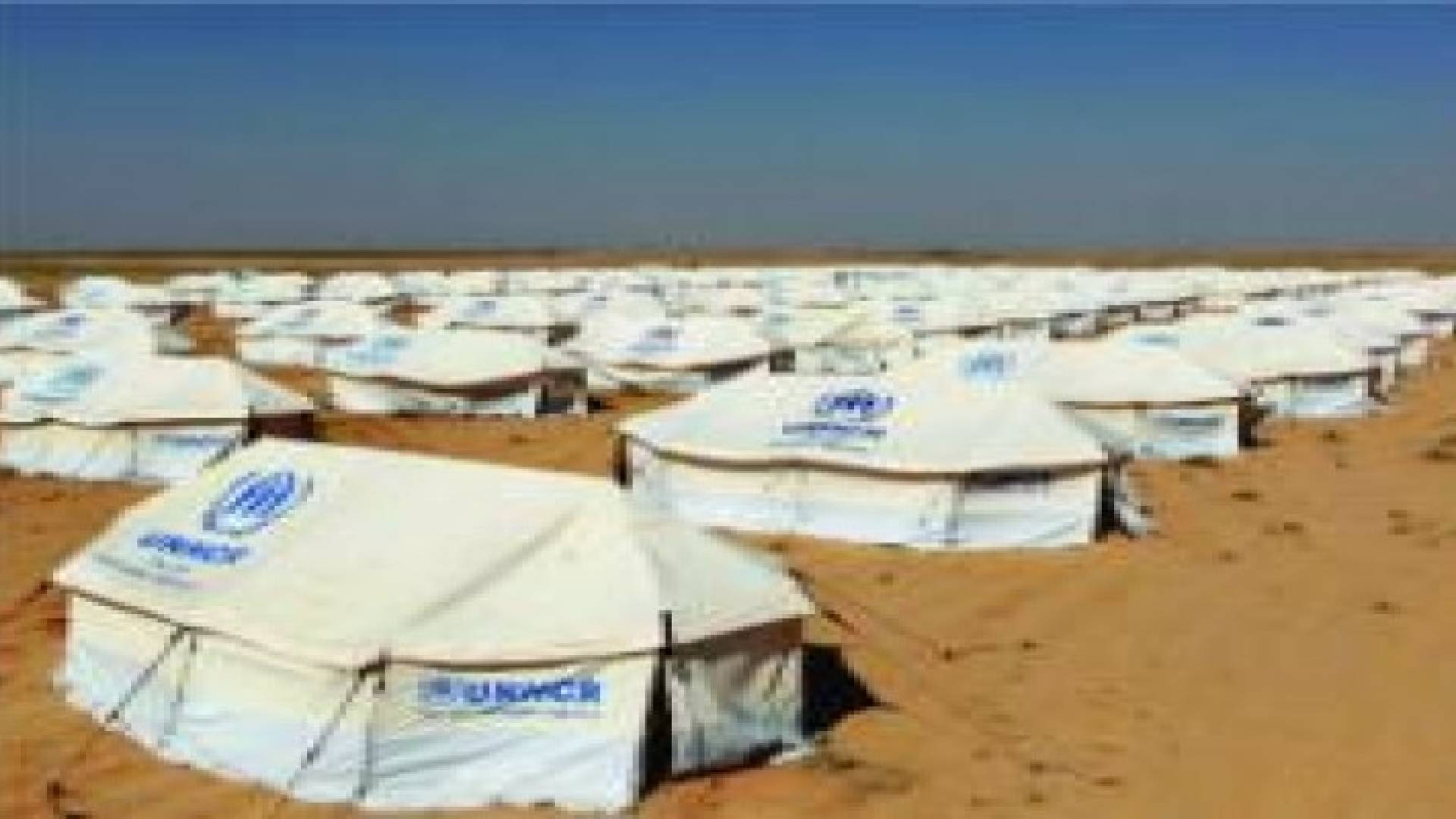 دراسة موسعة لنقل مخيمي الزعتري والأزرق إلى الرويشد