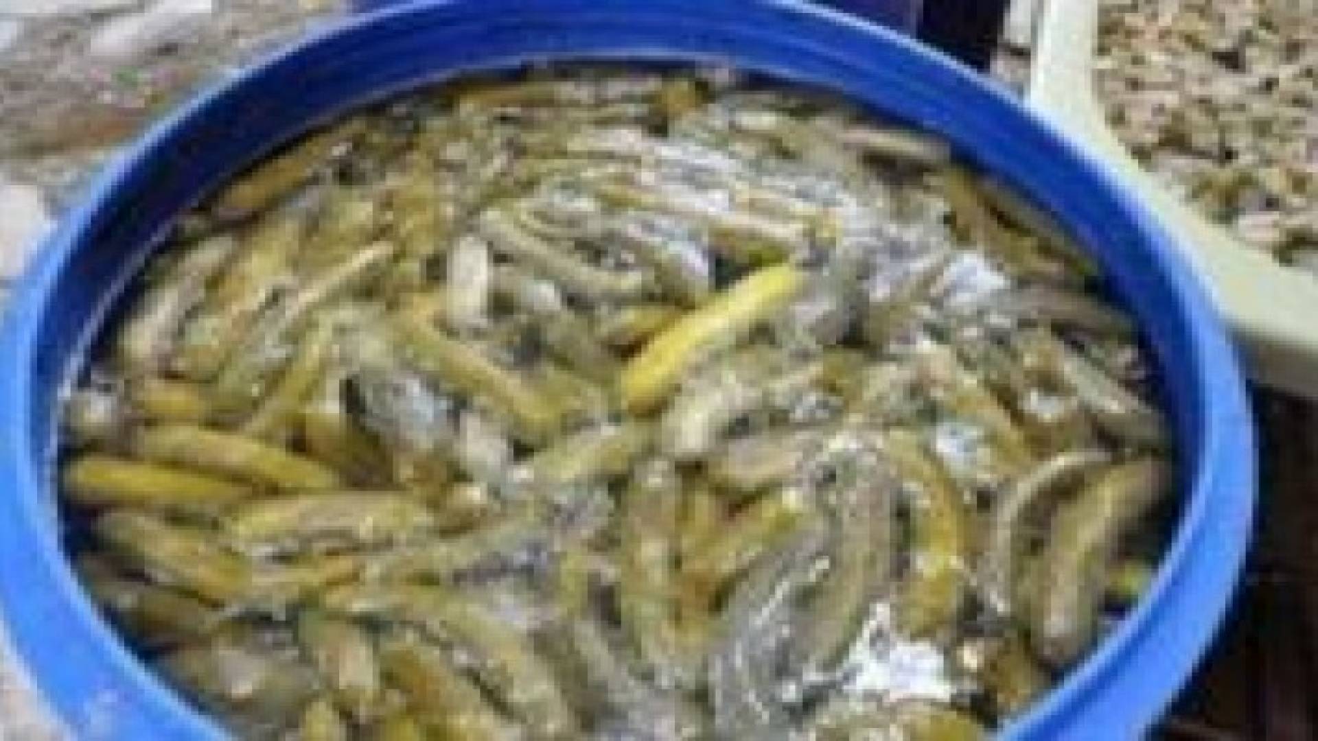 ضبط معمل مخللات يعمل بظروف سيئة وإتلاف 26 طنا من منتجاته