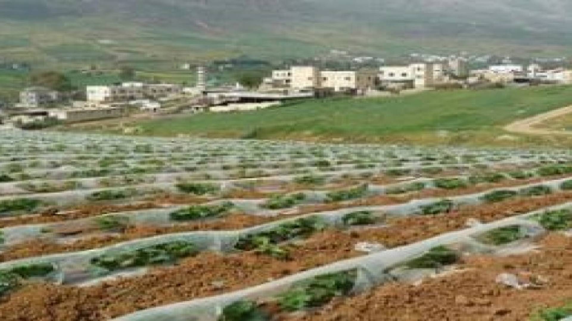 سلطة وادي الأردن تعلن حالة الطوارىء بالأغوار الجنوبية