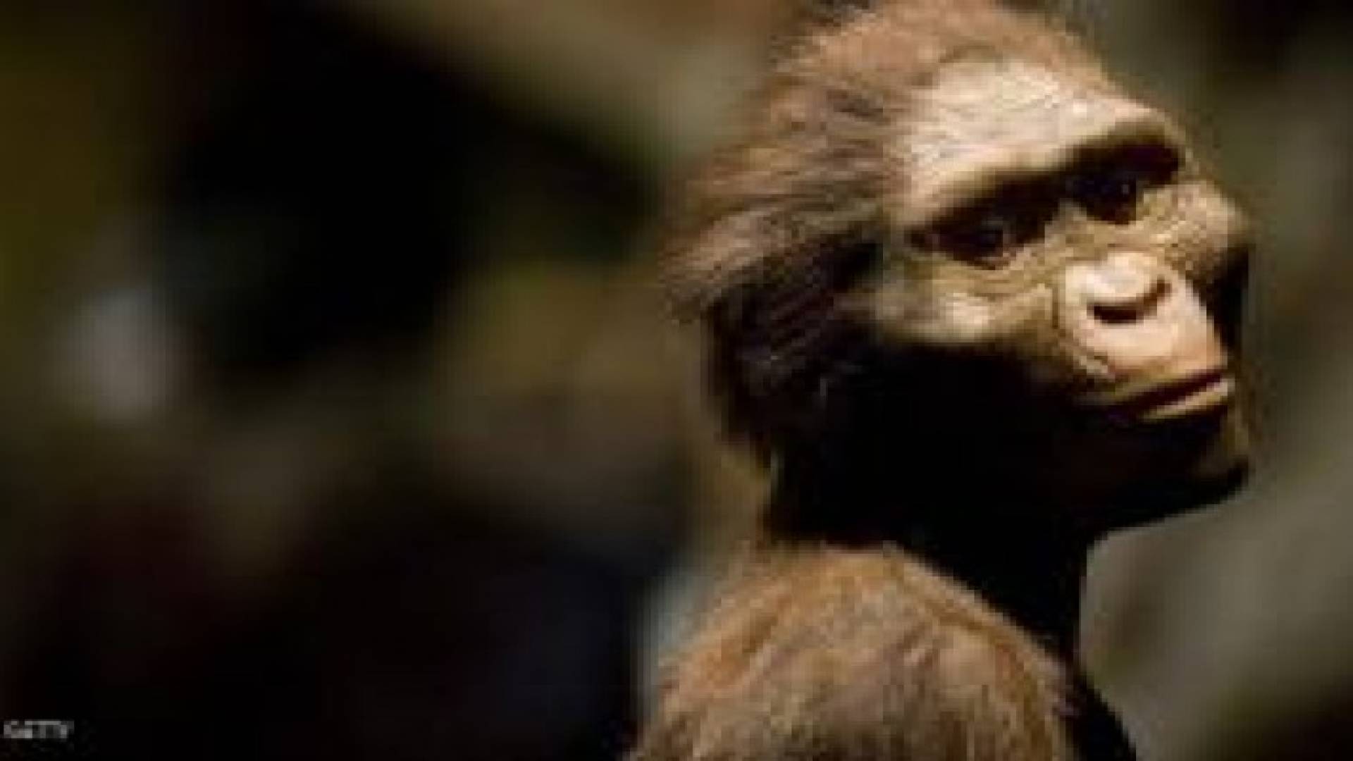 العثور على بقايا مخلوق منذ 3.5 مليون سنة في إثيوبيا