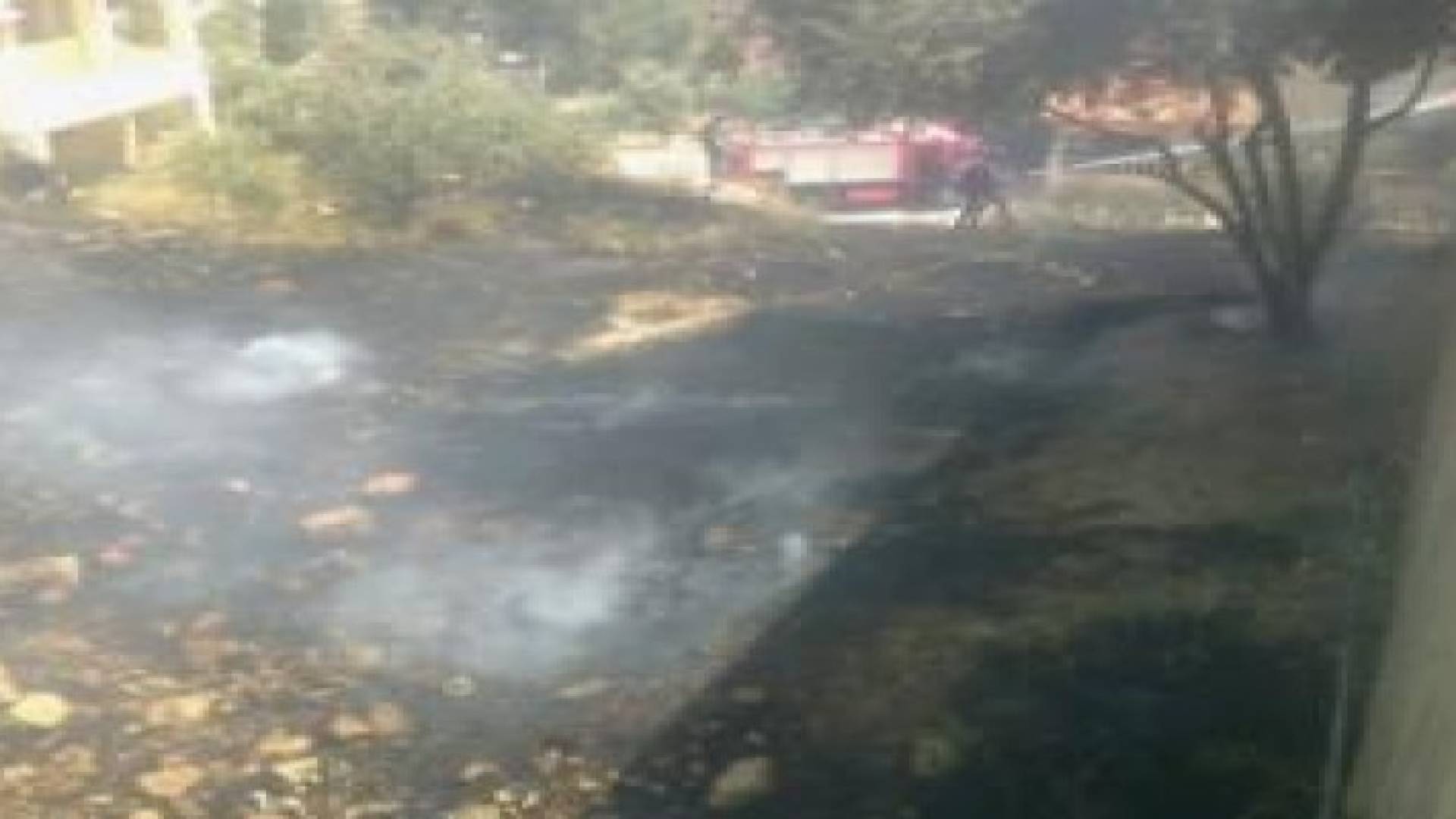 إخماد حريق أعشاب جافة في محافظة اربد