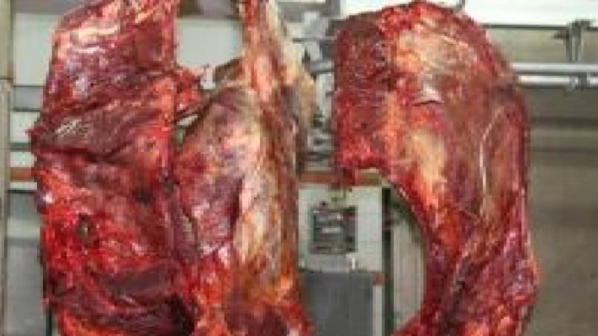 ضبط 300 كيلوغرام من اللحوم غير معروفة المصدر في الزرقاء