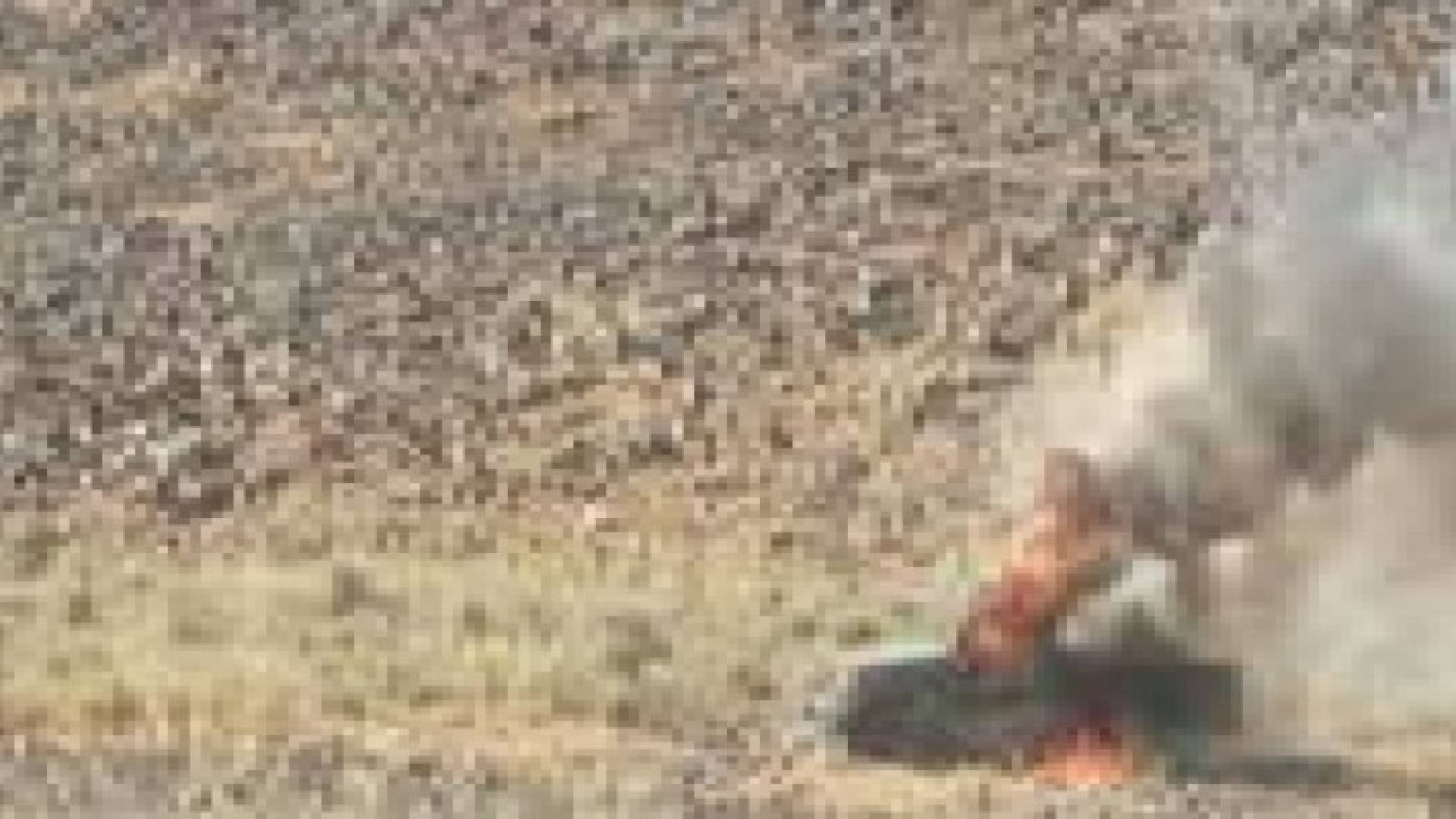 القوات المسلحة تدمر سيارتين حاولتا اجتياز الحدود الاردنية السورية.. صور