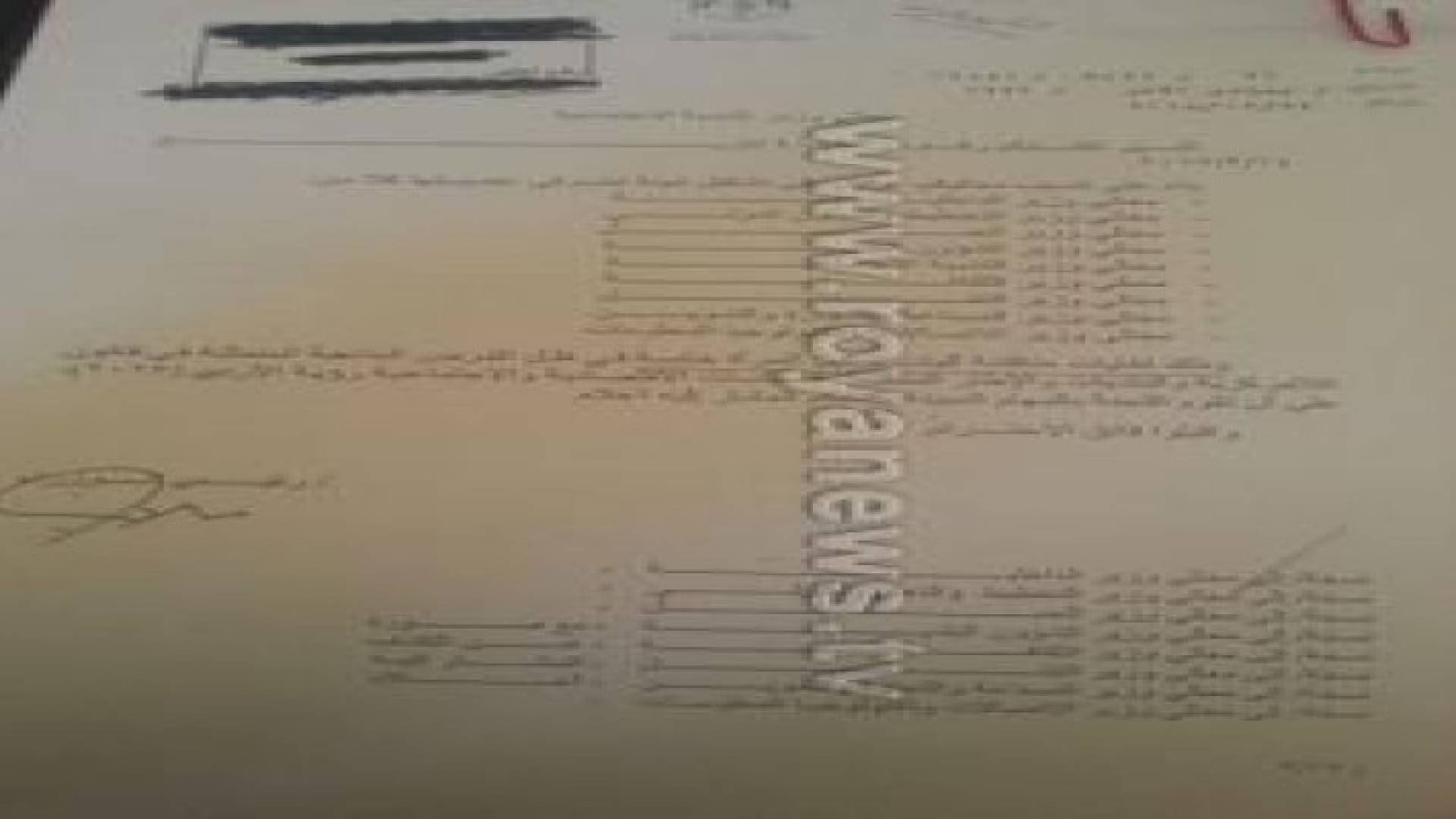 تساؤلات حول قرار الحكومة لتشكيل لجنة وطنية لتمكين المرأة