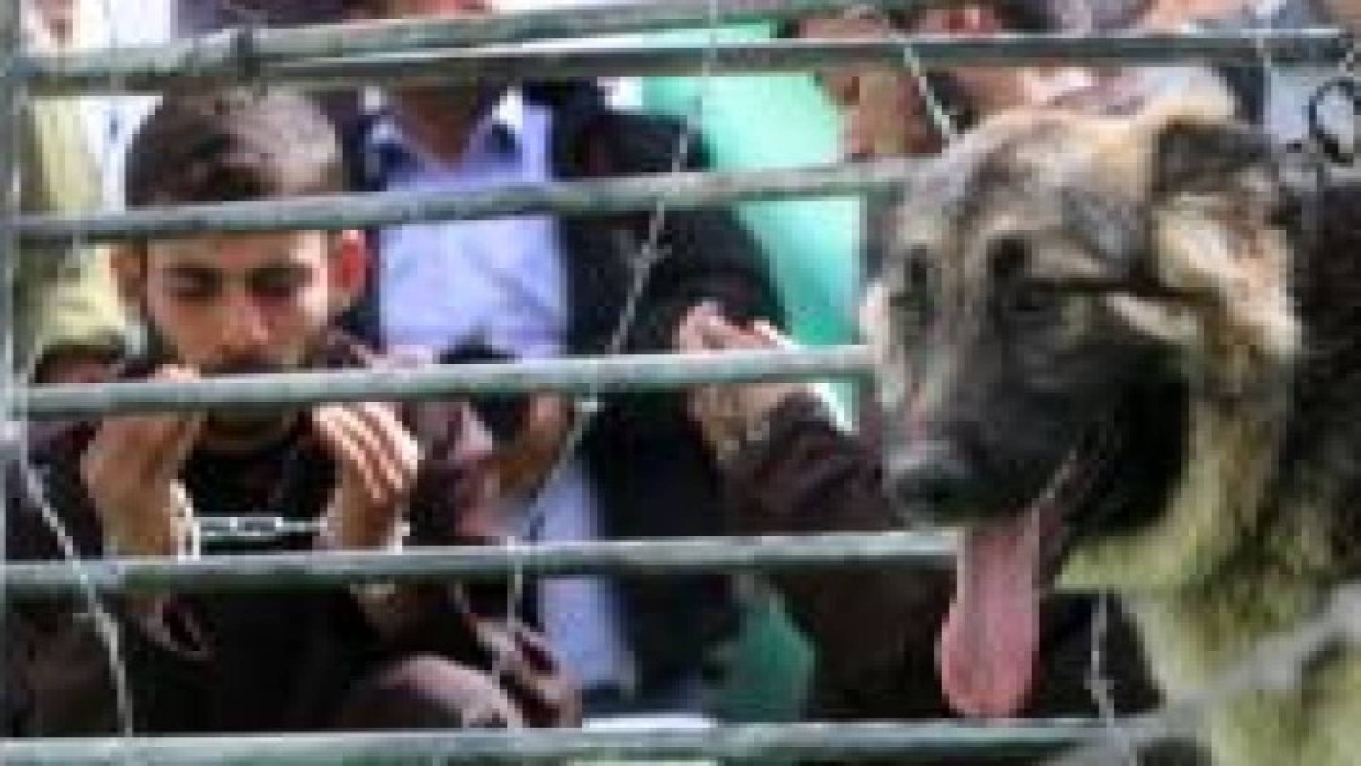 الأسرى يصعدون خطواتهم بعد رفض مطالبهم
