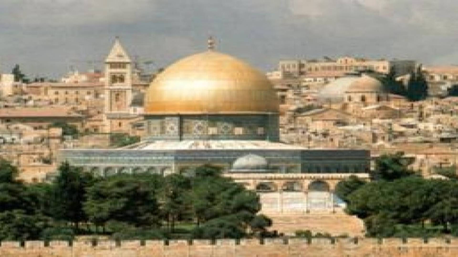 انطلاق فعاليات معرض وملتقى "مستقبل فلسطين اخضر"