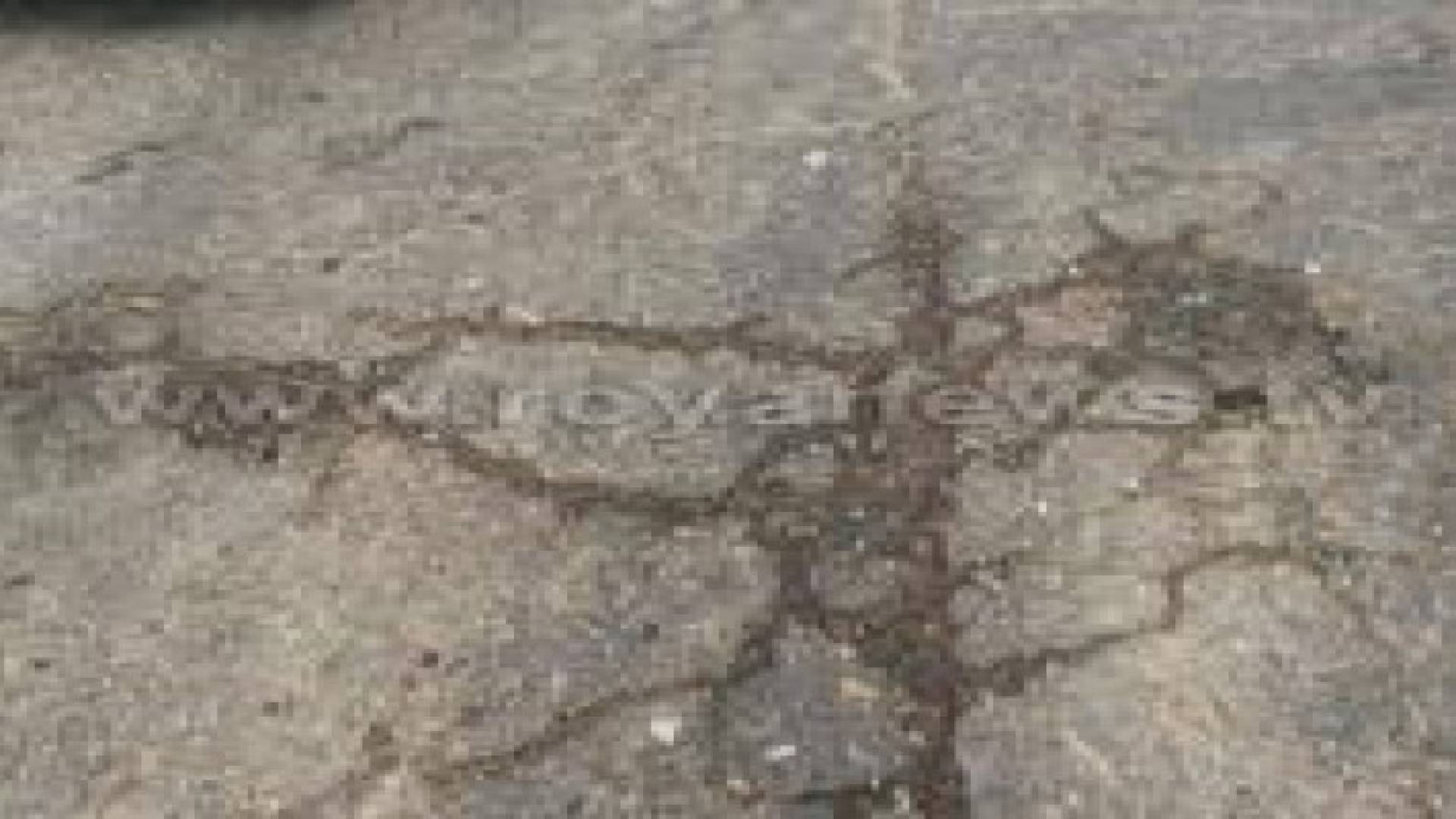 اربد: إصابة (7) أشخاص إثر حادث تصادم.. صور
