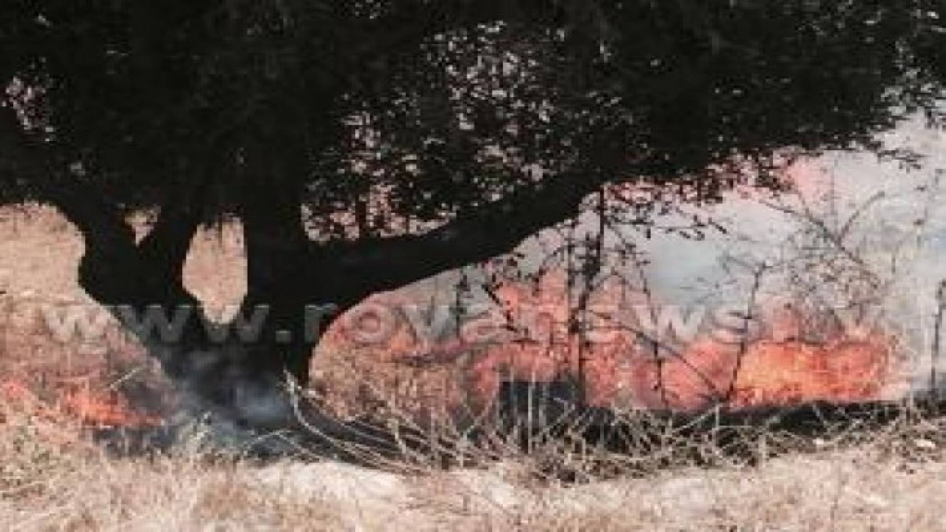 بالصور: اخماد حريق في ارض حرشية بمنطقة المقابلين