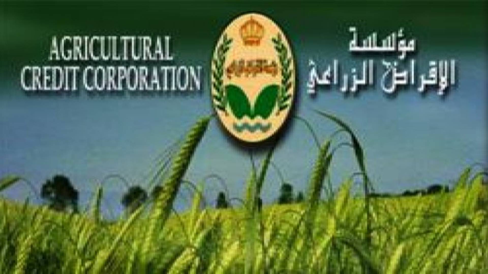 650 ألف دينار تمنحها مؤسسة الإقراض لمزارعي القصر وفقوع