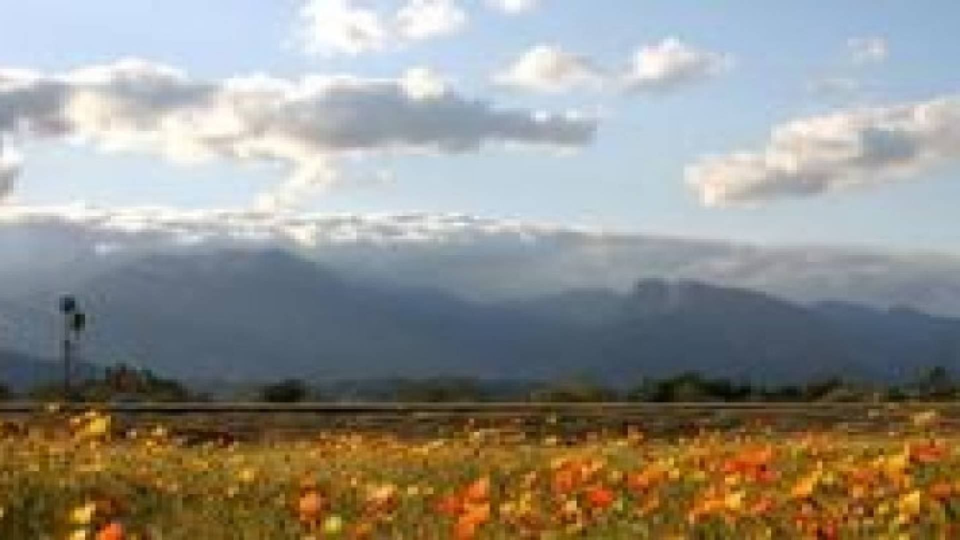 طقس عطلة نهاية الأسبوع: أجواء معتدلة نهارا ورطبة مائلة للبرودة ليلا