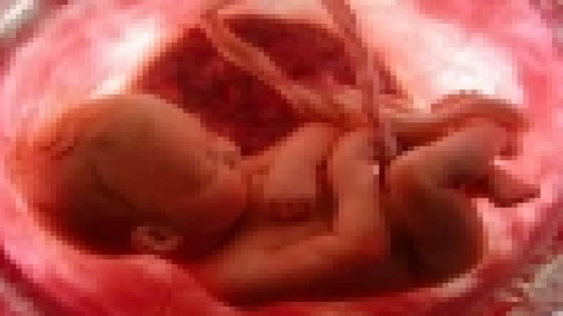 مزاعم أكل المشيمة ليس لها أصل علمي