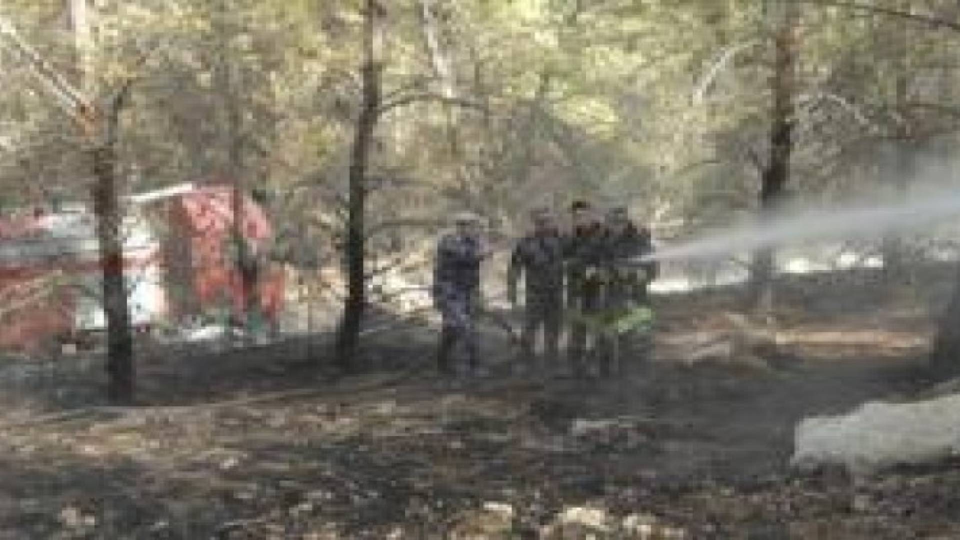 إخماد حريق أعشاب جافة وأشجار في منطقة الأغوار الشمالية