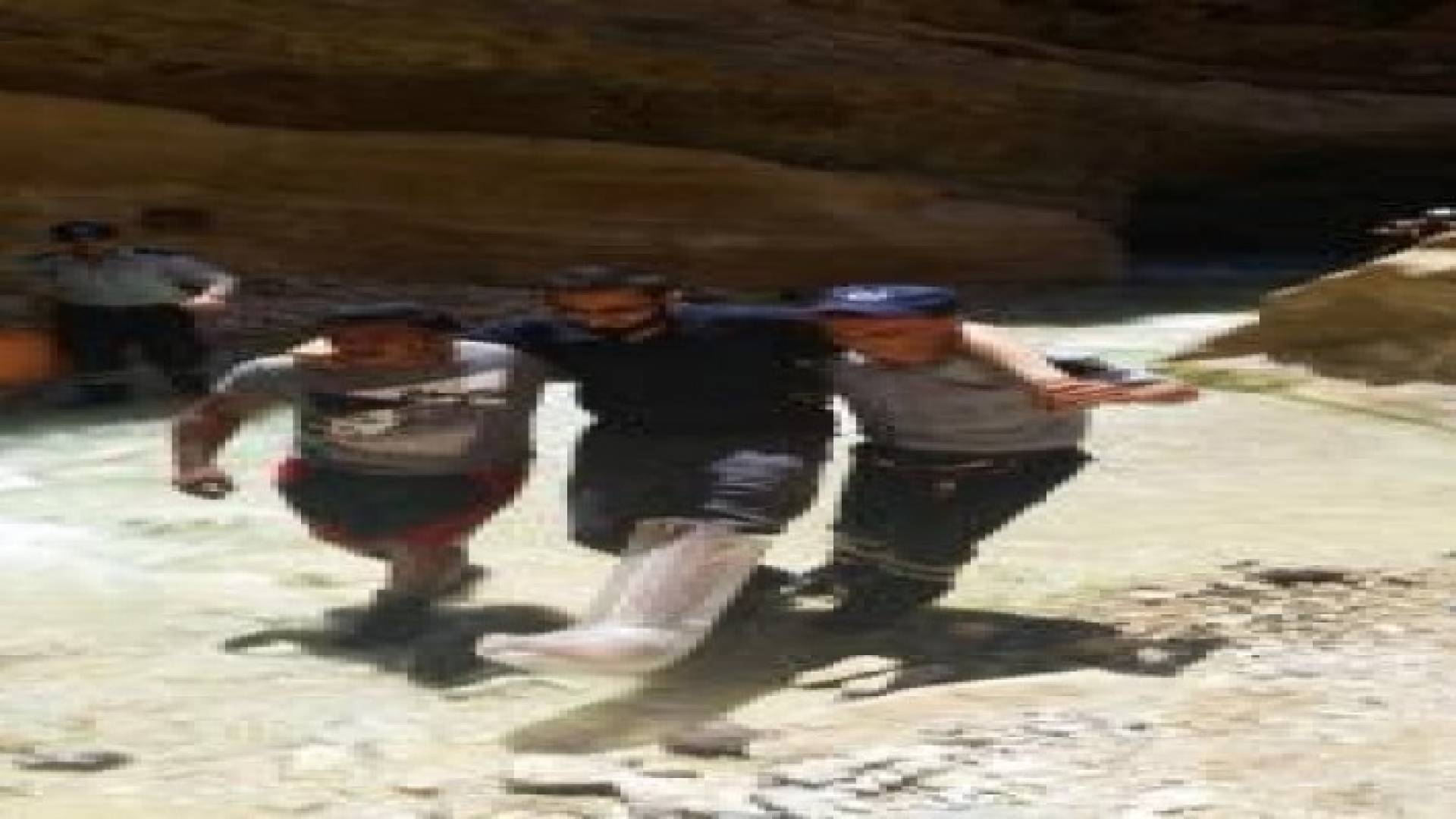 انقاذ أمريكي وبريطاني في منطقة "البحر الميت" .. صور