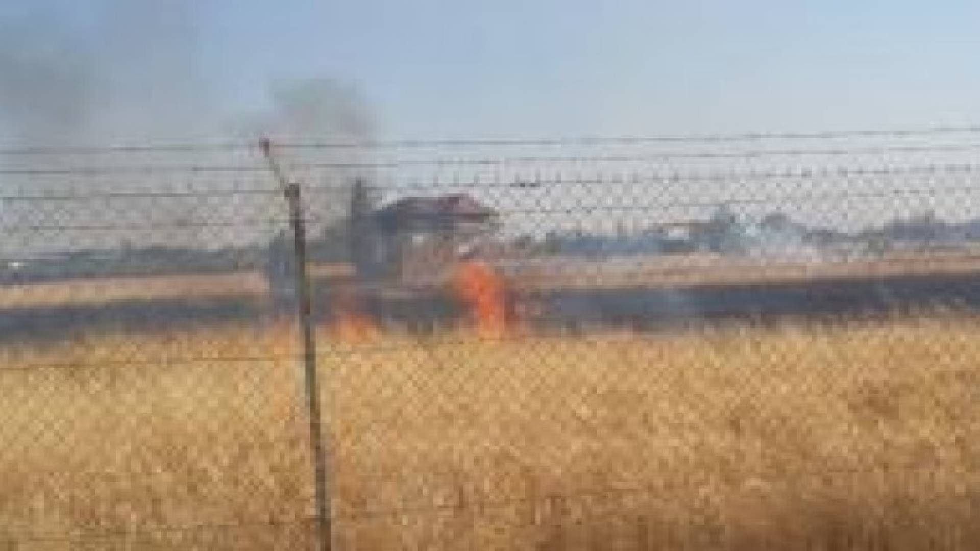 حريق في ارض زراعية على طريق المطار .. صور