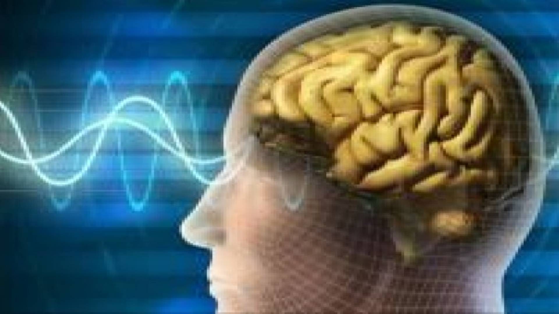 التعرض لإشارات صوتية خلال النوم يغير السلوك في اليقظة