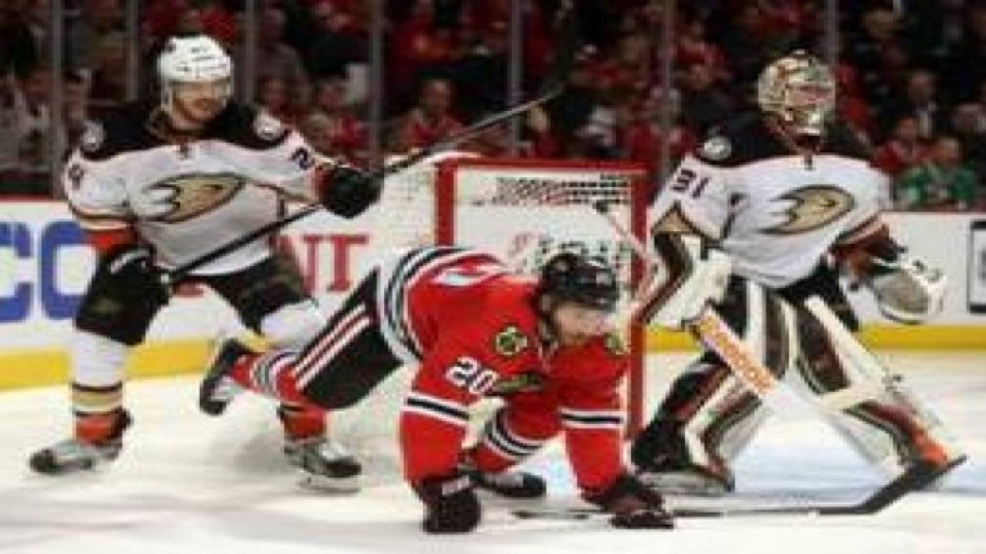 شيكاغو بلاك هوكس يفوز على تامبا بيي في دوري الهوكي الأمريكي