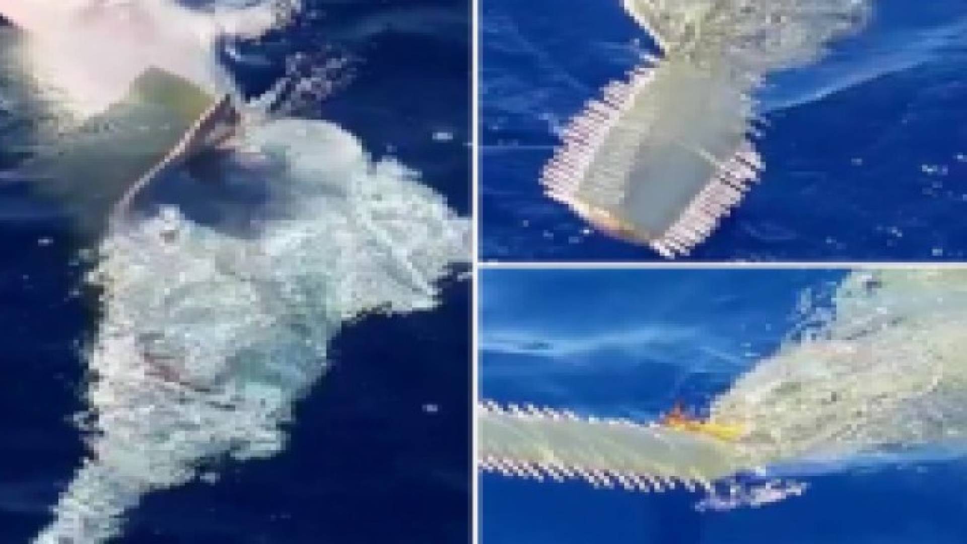 بالفيديو ... سمكة أبو منشار العملاقة تظهر على سواحل فلوريدا