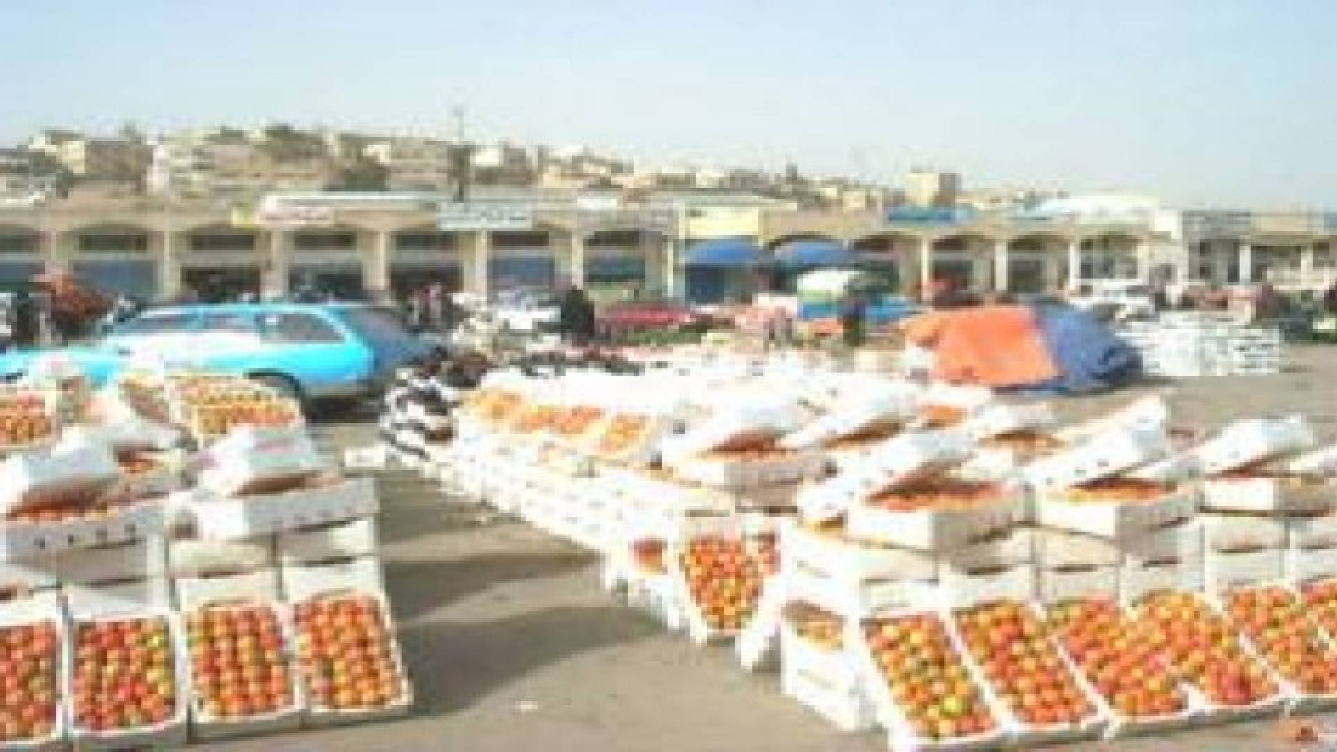 استقرار اسعار الجملة في سوق الخضار المركزي