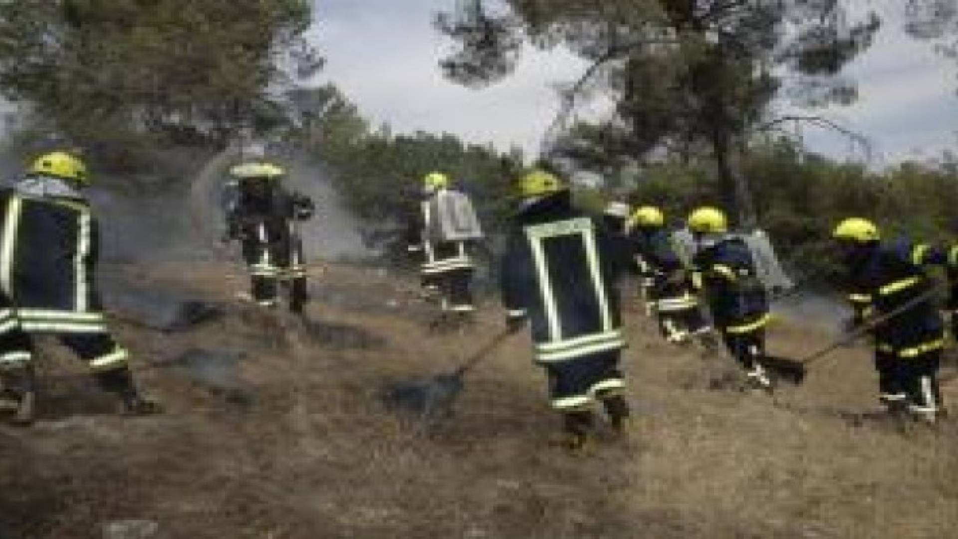 حريق على مساحة 25 دونما في إربد