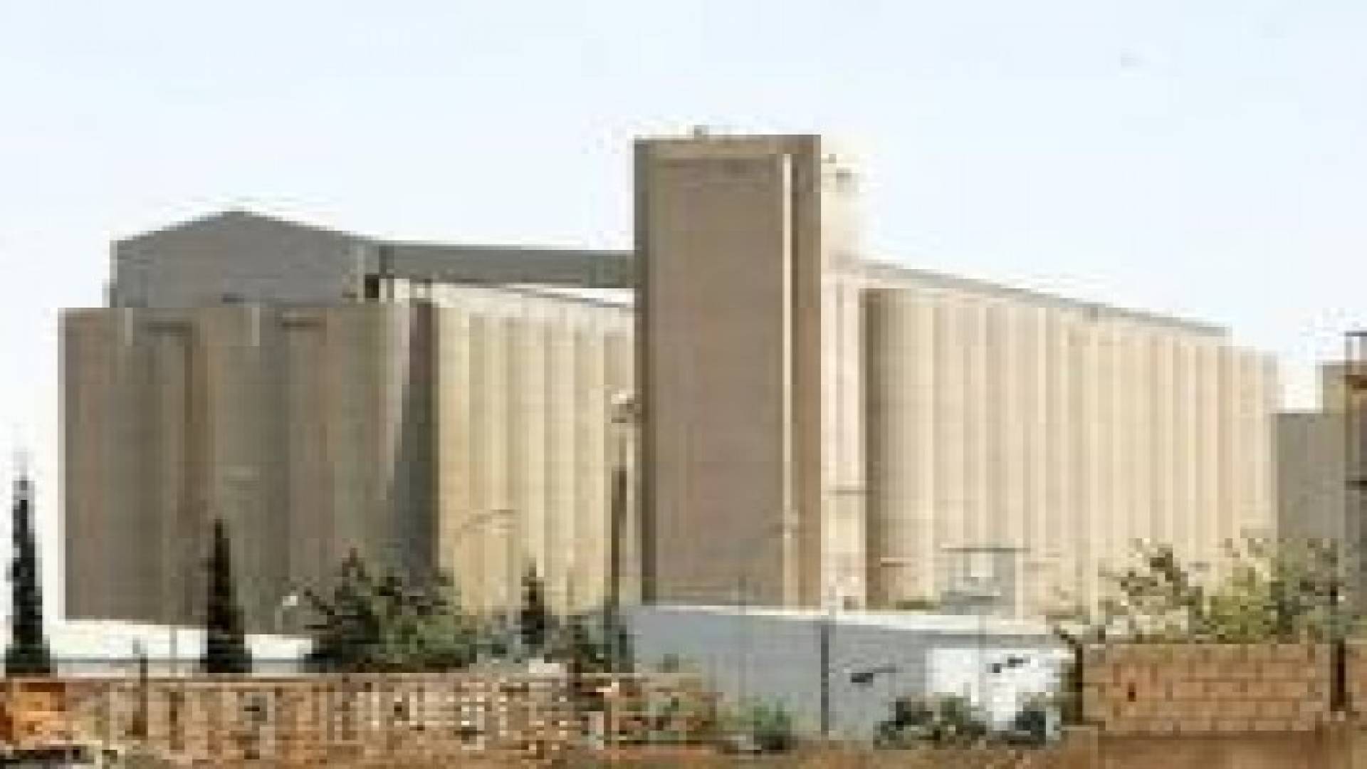 عبيدات: إعادة تصدير شحنة القمح البولندية ممكنة وتستغرق 10 أيام