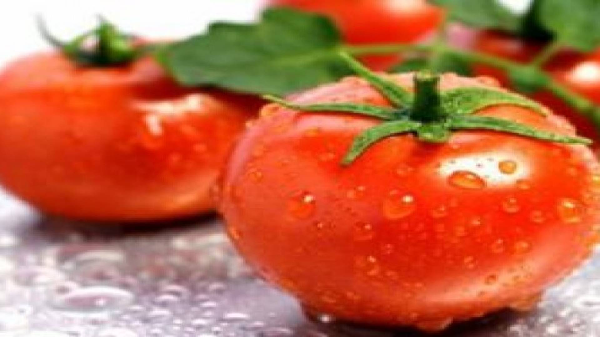 الطماطم تقي من آثار شيخوخة الجلد والتجاعيد